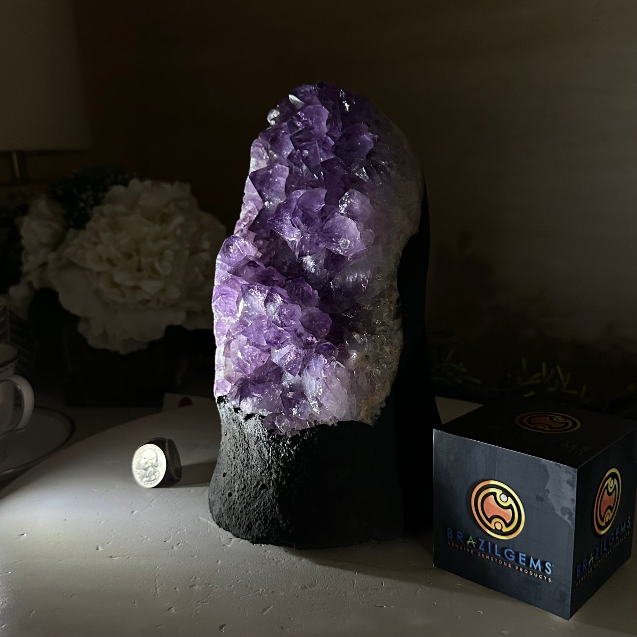 Extra Quality Amethyst Cluster, Cement Base, 8.8 lbs & 8.6" Tall #5614 - 0130 - Brazil GemsBrazil GemsExtra Quality Amethyst Cluster, Cement Base, 8.8 lbs & 8.6" Tall #5614 - 0130Clusters on Cement Bases5614 - 0130