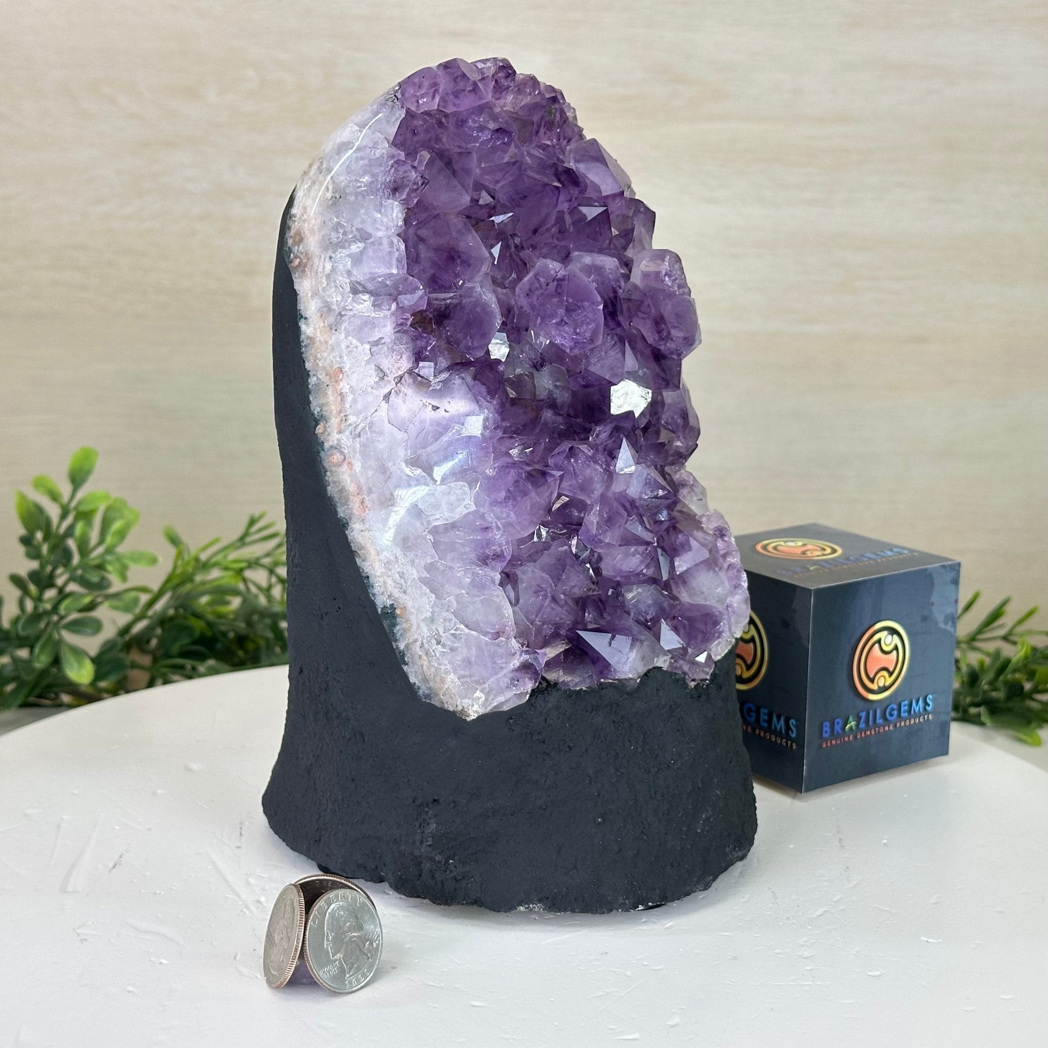 Extra Quality Amethyst Cluster, Cement Base, 8.8 lbs & 8.6" Tall #5614 - 0130 - Brazil GemsBrazil GemsExtra Quality Amethyst Cluster, Cement Base, 8.8 lbs & 8.6" Tall #5614 - 0130Clusters on Cement Bases5614 - 0130