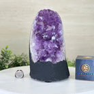 Extra Quality Amethyst Cluster, Cement Base, 8.8 lbs & 8.6" Tall #5614 - 0130 - Brazil GemsBrazil GemsExtra Quality Amethyst Cluster, Cement Base, 8.8 lbs & 8.6" Tall #5614 - 0130Clusters on Cement Bases5614 - 0130