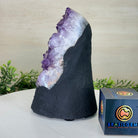 Extra Quality Amethyst Cluster, Cement Base, 8.8 lbs & 8.6" Tall #5614 - 0130 - Brazil GemsBrazil GemsExtra Quality Amethyst Cluster, Cement Base, 8.8 lbs & 8.6" Tall #5614 - 0130Clusters on Cement Bases5614 - 0130