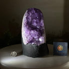 Extra Quality Amethyst Cluster, Cement Base, 8.8 lbs & 8.6" Tall #5614 - 0130 - Brazil GemsBrazil GemsExtra Quality Amethyst Cluster, Cement Base, 8.8 lbs & 8.6" Tall #5614 - 0130Clusters on Cement Bases5614 - 0130