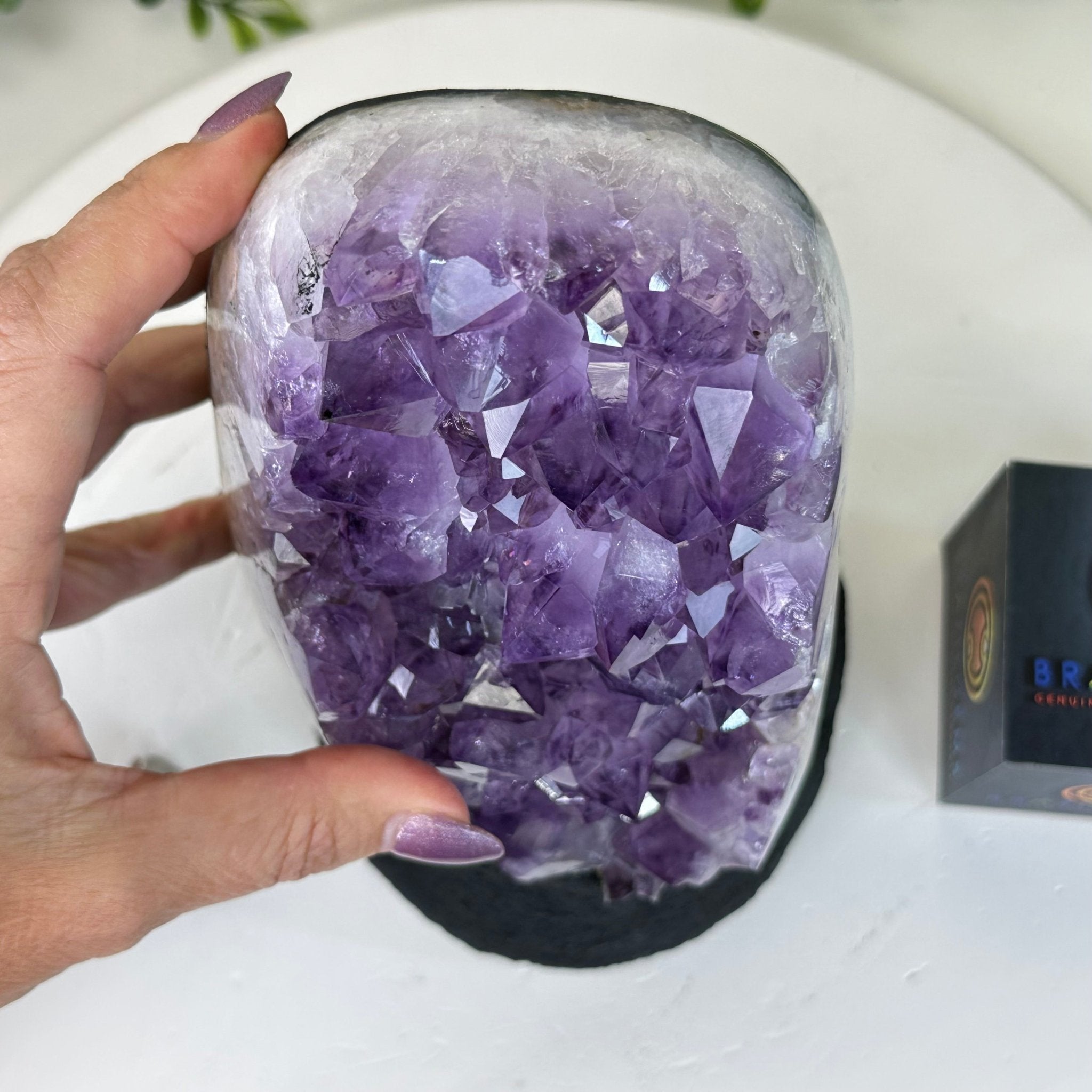 Extra Quality Amethyst Cluster, Cement Base, 8.8 lbs & 8.6" Tall #5614 - 0130 - Brazil GemsBrazil GemsExtra Quality Amethyst Cluster, Cement Base, 8.8 lbs & 8.6" Tall #5614 - 0130Clusters on Cement Bases5614 - 0130