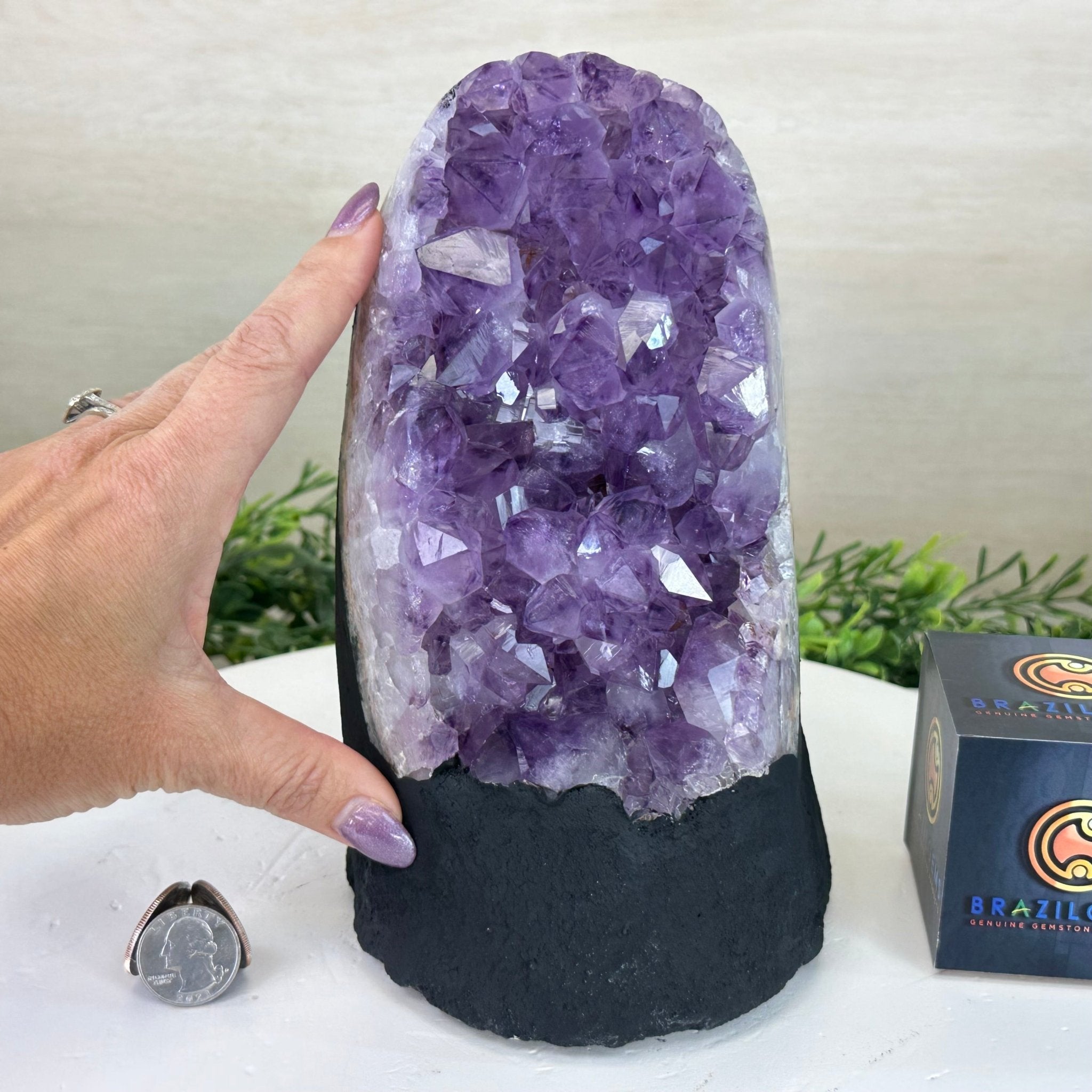 Extra Quality Amethyst Cluster, Cement Base, 8.8 lbs & 8.6" Tall #5614 - 0130 - Brazil GemsBrazil GemsExtra Quality Amethyst Cluster, Cement Base, 8.8 lbs & 8.6" Tall #5614 - 0130Clusters on Cement Bases5614 - 0130