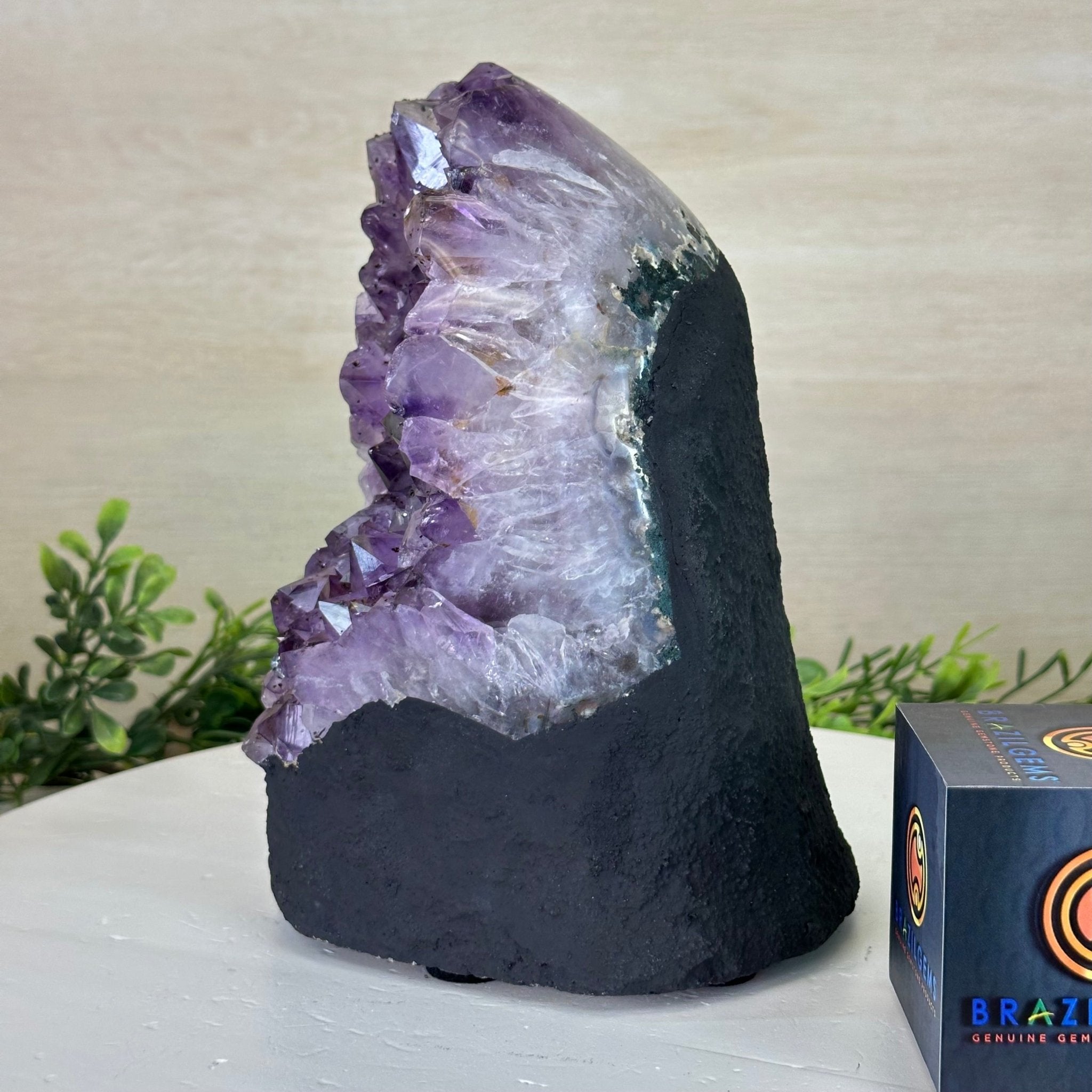 Extra Quality Amethyst Cluster, Cement Base, 8.9 lbs & 8.3" Tall #5614 - 0131 - Brazil GemsBrazil GemsExtra Quality Amethyst Cluster, Cement Base, 8.9 lbs & 8.3" Tall #5614 - 0131Clusters on Cement Bases5614 - 0131