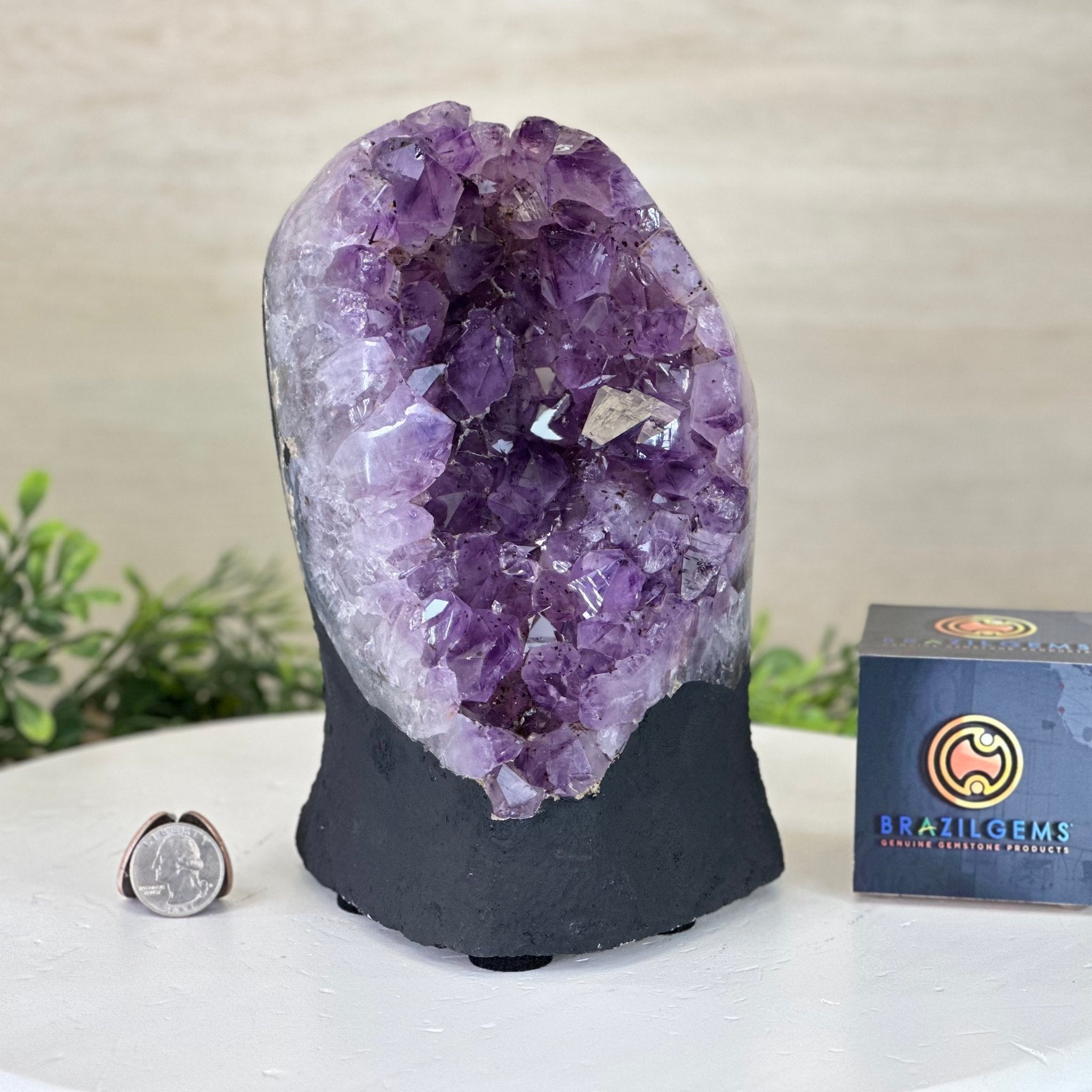 Extra Quality Amethyst Cluster, Cement Base, 8.9 lbs & 8.3" Tall #5614 - 0131 - Brazil GemsBrazil GemsExtra Quality Amethyst Cluster, Cement Base, 8.9 lbs & 8.3" Tall #5614 - 0131Clusters on Cement Bases5614 - 0131