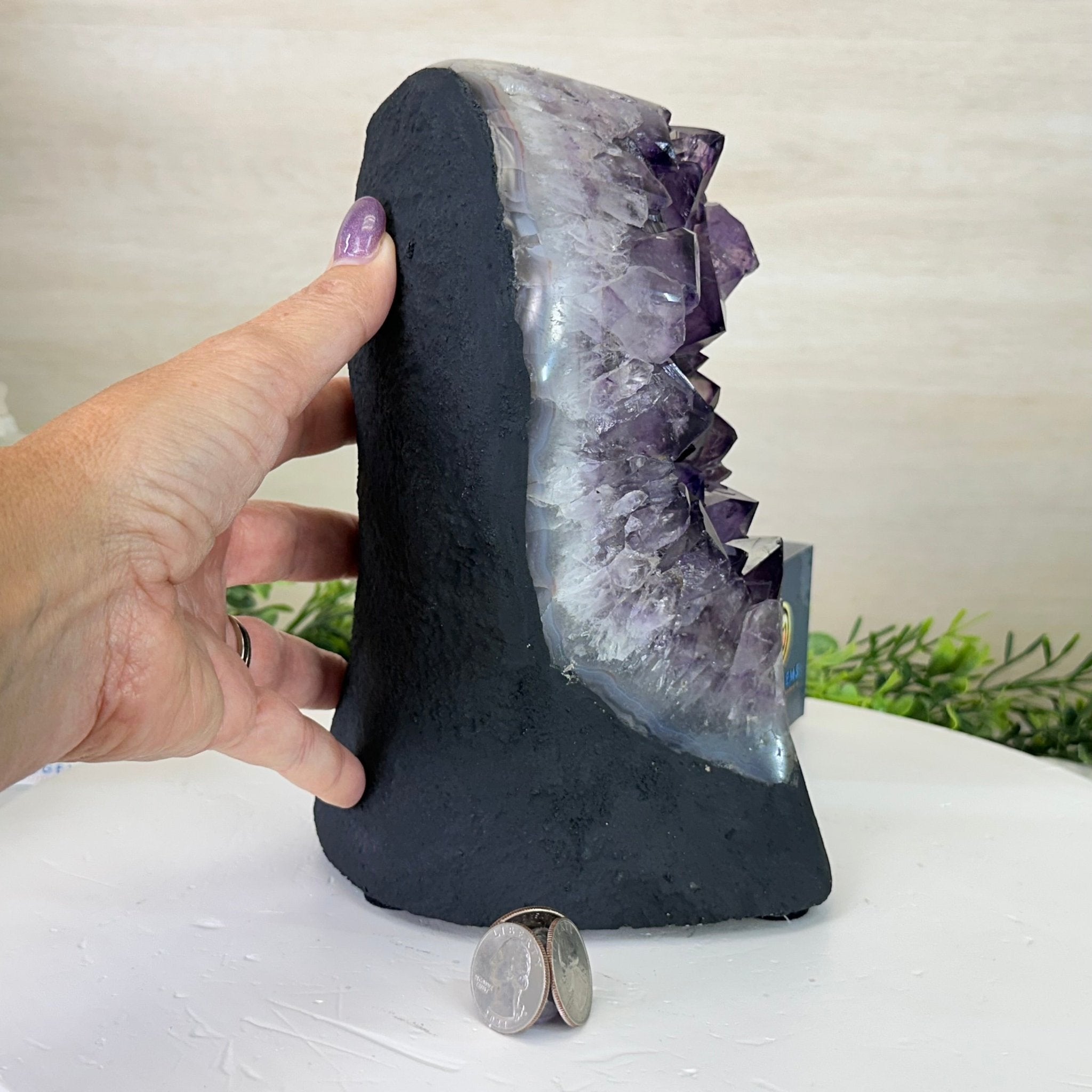 Extra Quality Amethyst Cluster, Cement Base, 9.5 lbs & 8.6" Tall #5614 - 0132 - Brazil GemsBrazil GemsExtra Quality Amethyst Cluster, Cement Base, 9.5 lbs & 8.6" Tall #5614 - 0132Clusters on Cement Bases5614 - 0132