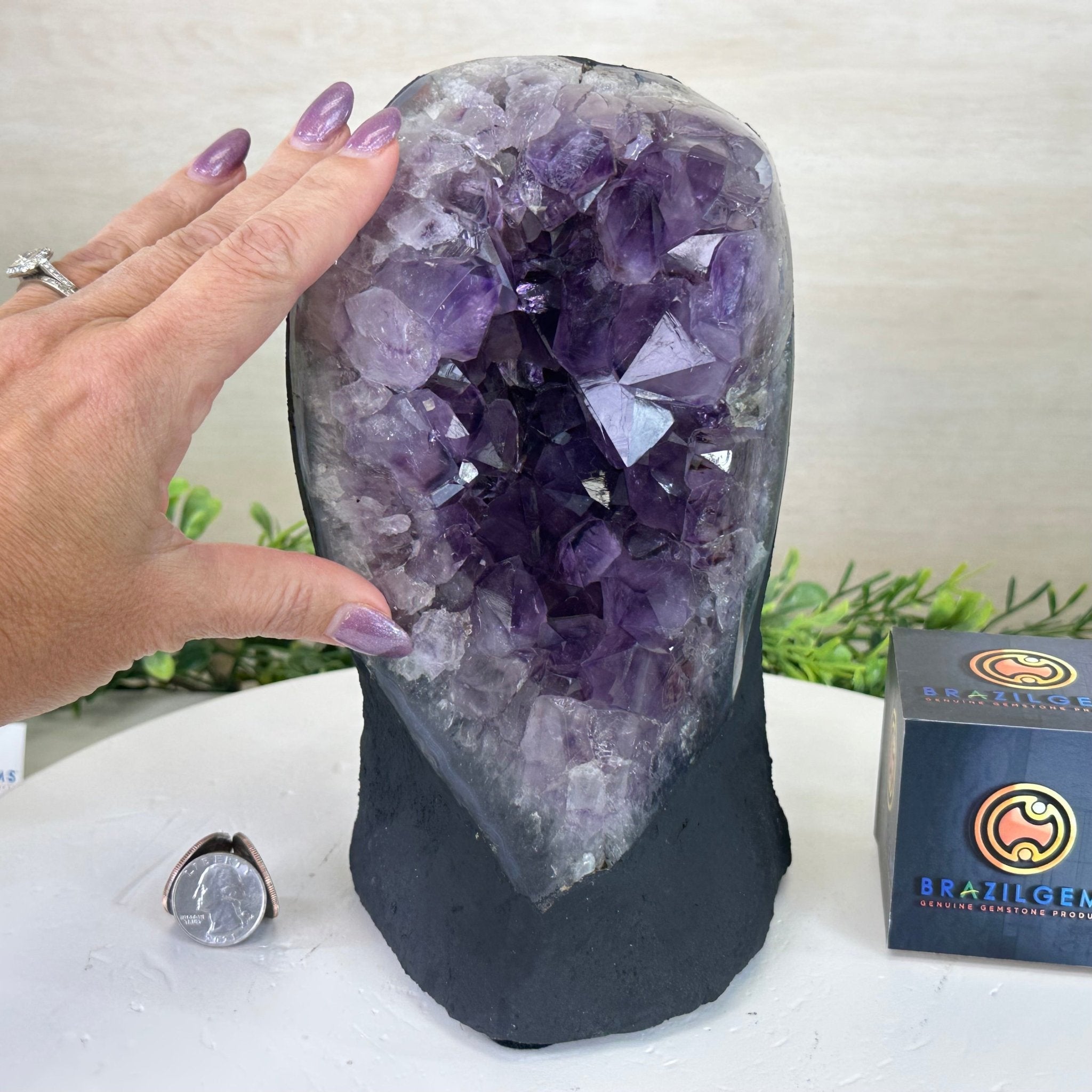 Extra Quality Amethyst Cluster, Cement Base, 9.5 lbs & 8.6" Tall #5614 - 0132 - Brazil GemsBrazil GemsExtra Quality Amethyst Cluster, Cement Base, 9.5 lbs & 8.6" Tall #5614 - 0132Clusters on Cement Bases5614 - 0132