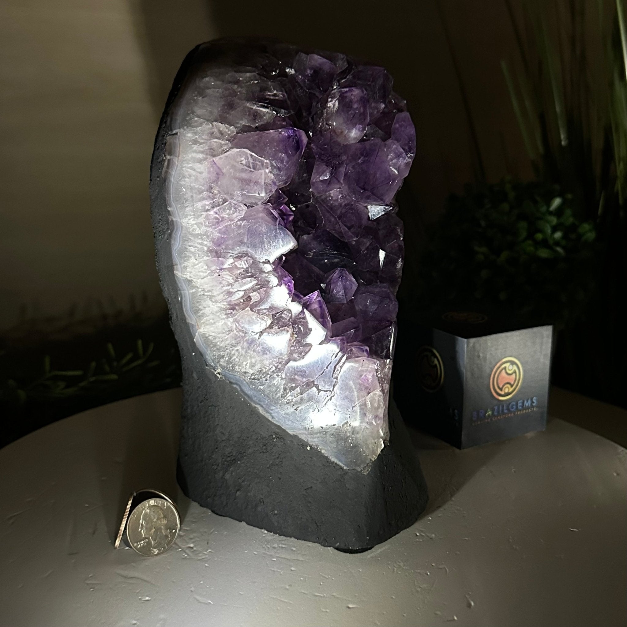 Extra Quality Amethyst Cluster, Cement Base, 9.5 lbs & 8.6" Tall #5614 - 0132 - Brazil GemsBrazil GemsExtra Quality Amethyst Cluster, Cement Base, 9.5 lbs & 8.6" Tall #5614 - 0132Clusters on Cement Bases5614 - 0132