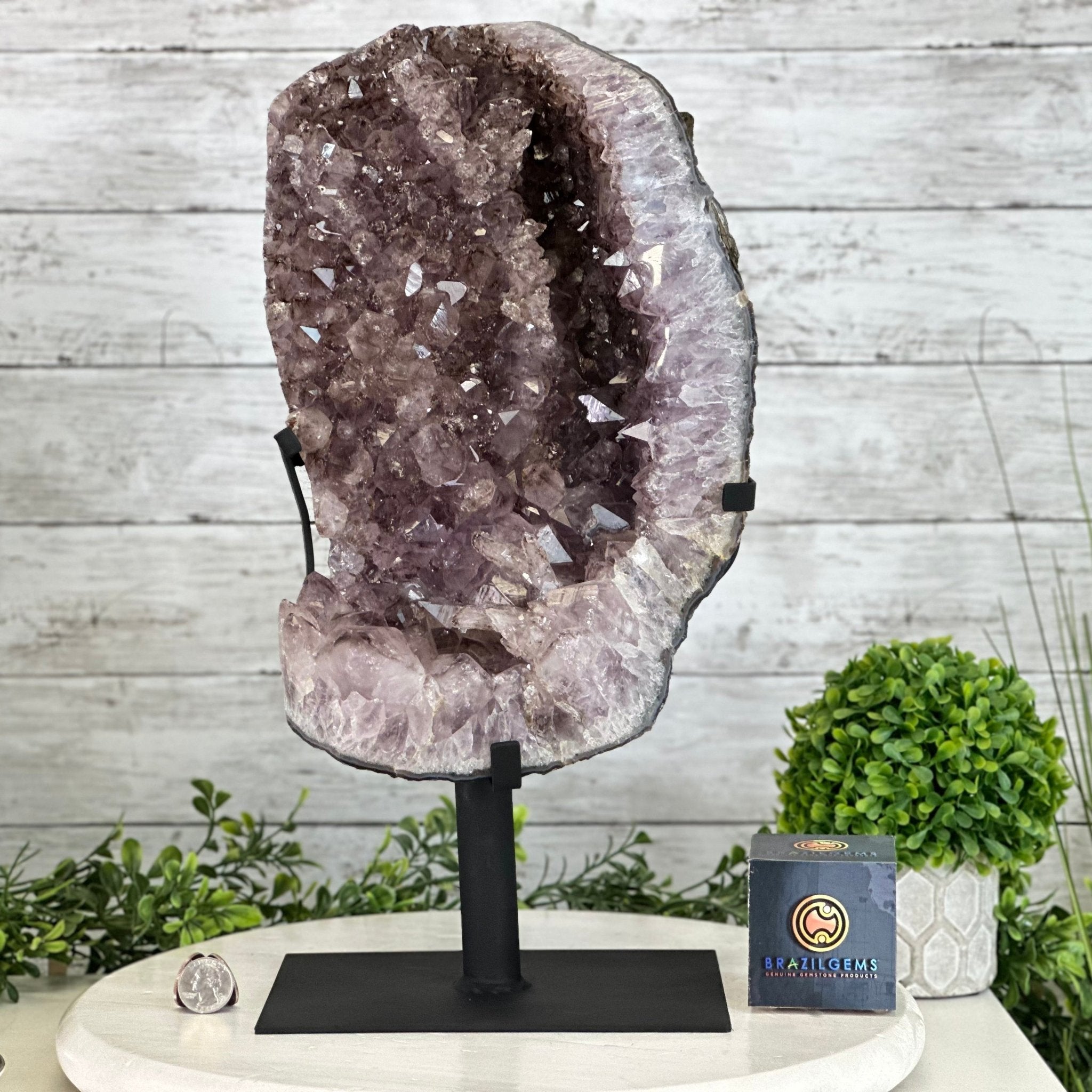 Extra Quality Amethyst Cluster on a Metal Base, 19.3 lbs & 17.1" Tall #5491 - 0191 - Brazil GemsBrazil GemsExtra Quality Amethyst Cluster on a Metal Base, 19.3 lbs & 17.1" Tall #5491 - 0191Clusters on Fixed Bases5491 - 0191