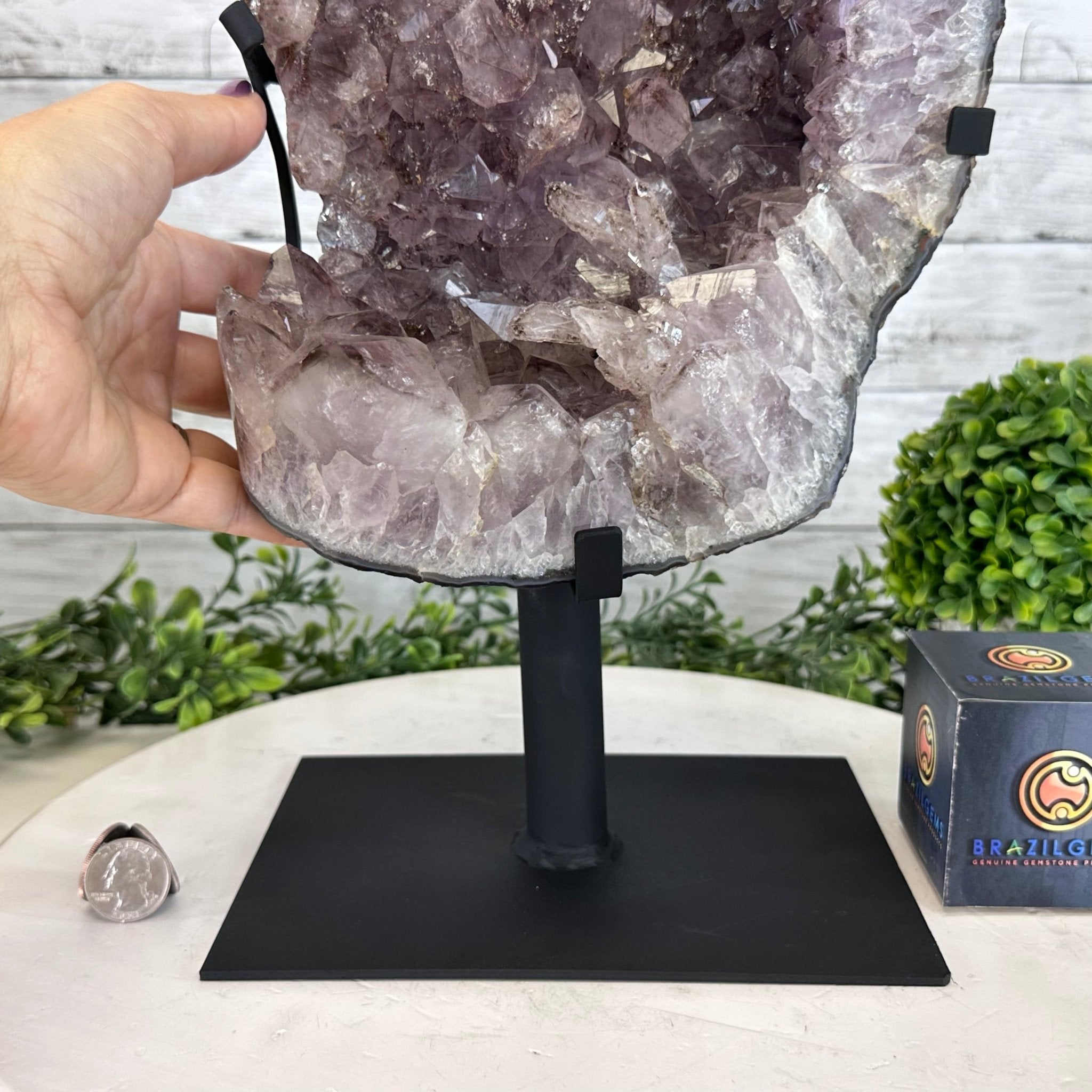 Extra Quality Amethyst Cluster on a Metal Base, 19.3 lbs & 17.1" Tall #5491 - 0191 - Brazil GemsBrazil GemsExtra Quality Amethyst Cluster on a Metal Base, 19.3 lbs & 17.1" Tall #5491 - 0191Clusters on Fixed Bases5491 - 0191