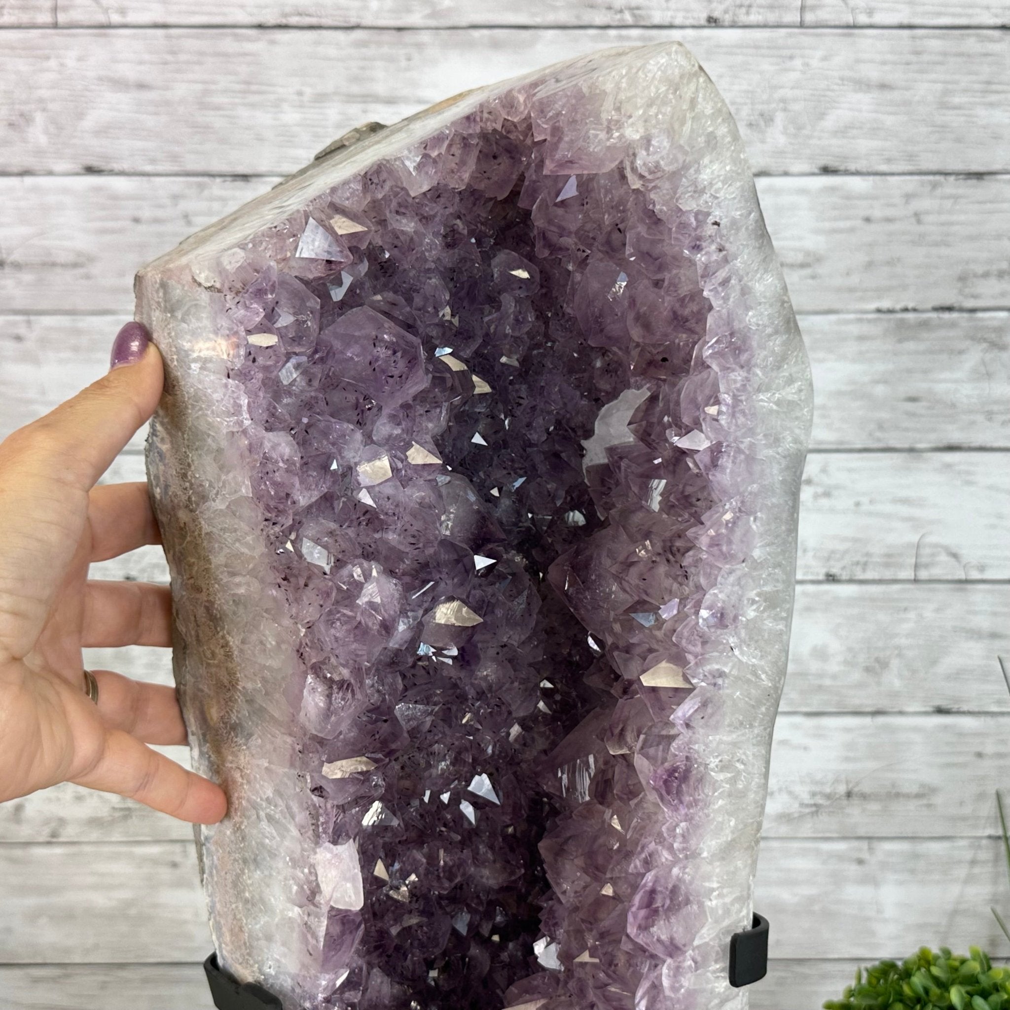 Extra Quality Amethyst Cluster on a Metal Base, 35.9 lbs & 20.4" Tall #5491 - 0199 - Brazil GemsBrazil GemsExtra Quality Amethyst Cluster on a Metal Base, 35.9 lbs & 20.4" Tall #5491 - 0199Clusters on Fixed Bases5491 - 0199