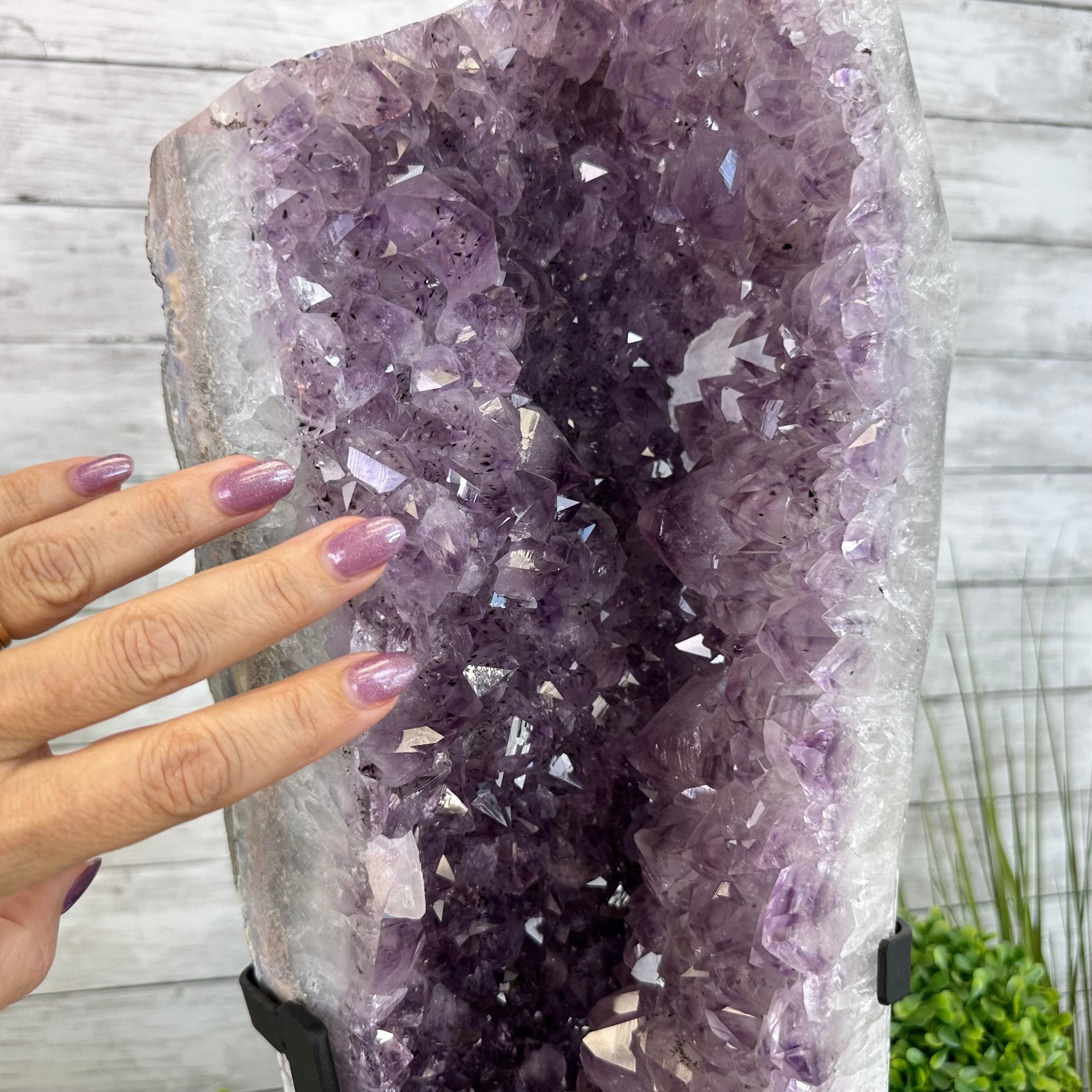 Extra Quality Amethyst Cluster on a Metal Base, 35.9 lbs & 20.4" Tall #5491 - 0199 - Brazil GemsBrazil GemsExtra Quality Amethyst Cluster on a Metal Base, 35.9 lbs & 20.4" Tall #5491 - 0199Clusters on Fixed Bases5491 - 0199