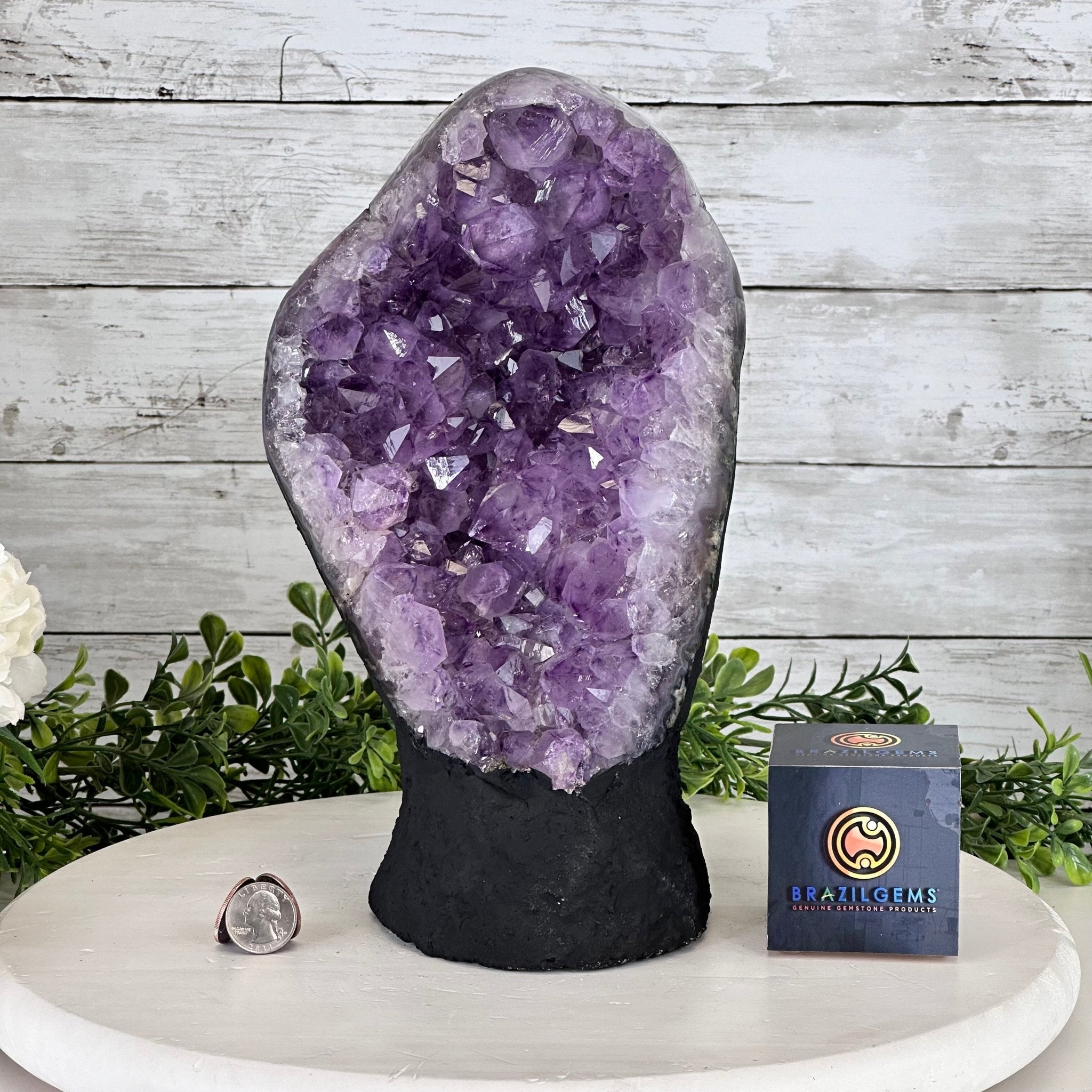 Extra Quality Amethyst Cluster on Cement Base, 12 lbs & 11.75" Tall #5614-0098 - Brazil GemsBrazil GemsExtra Quality Amethyst Cluster on Cement Base, 12 lbs & 11.75" Tall #5614-0098Clusters on Cement Bases5614-0098