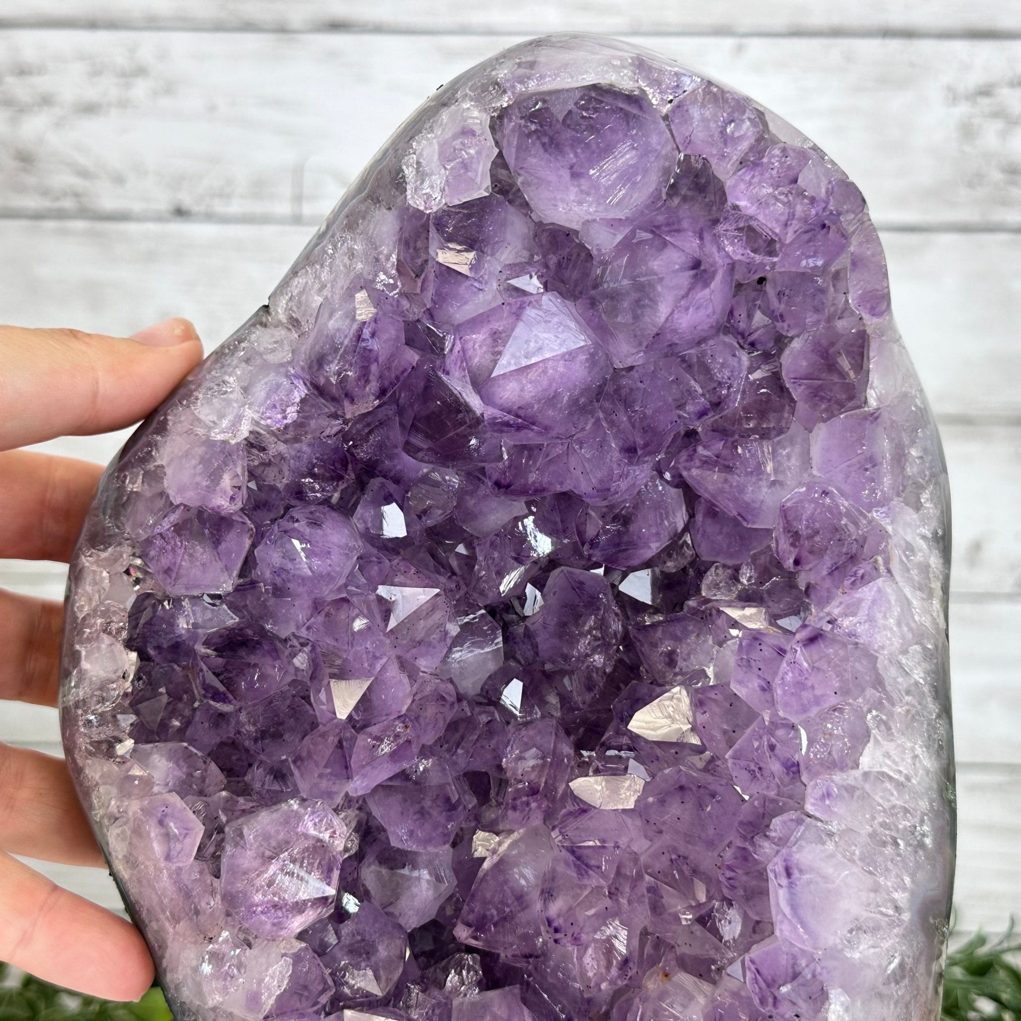 Extra Quality Amethyst Cluster on Cement Base, 12 lbs & 11.75" Tall #5614-0098 - Brazil GemsBrazil GemsExtra Quality Amethyst Cluster on Cement Base, 12 lbs & 11.75" Tall #5614-0098Clusters on Cement Bases5614-0098