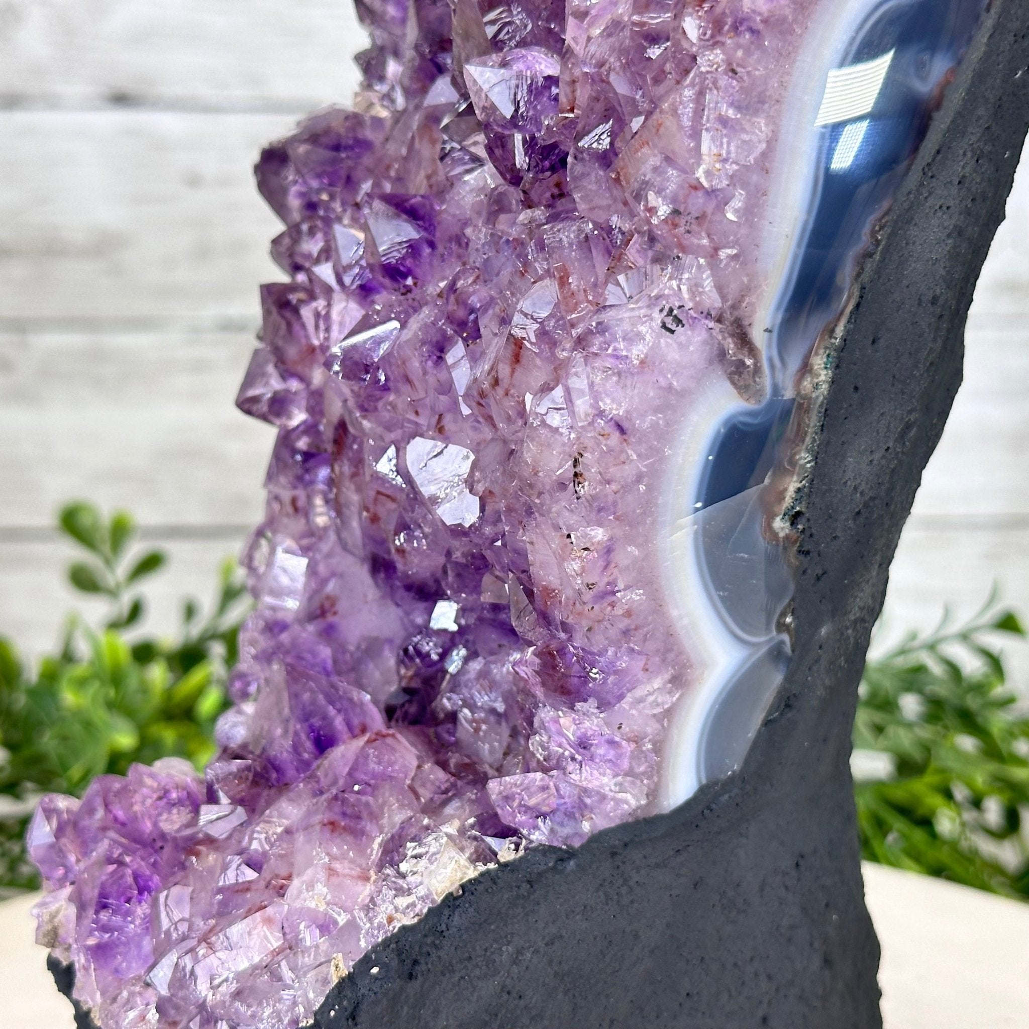 Extra Quality Amethyst Cluster on Cement Base, 12.8 lbs and 11.75" Tall #5614-0103 - Brazil GemsBrazil GemsExtra Quality Amethyst Cluster on Cement Base, 12.8 lbs and 11.75" Tall #5614-0103Clusters on Cement Bases5614-0103