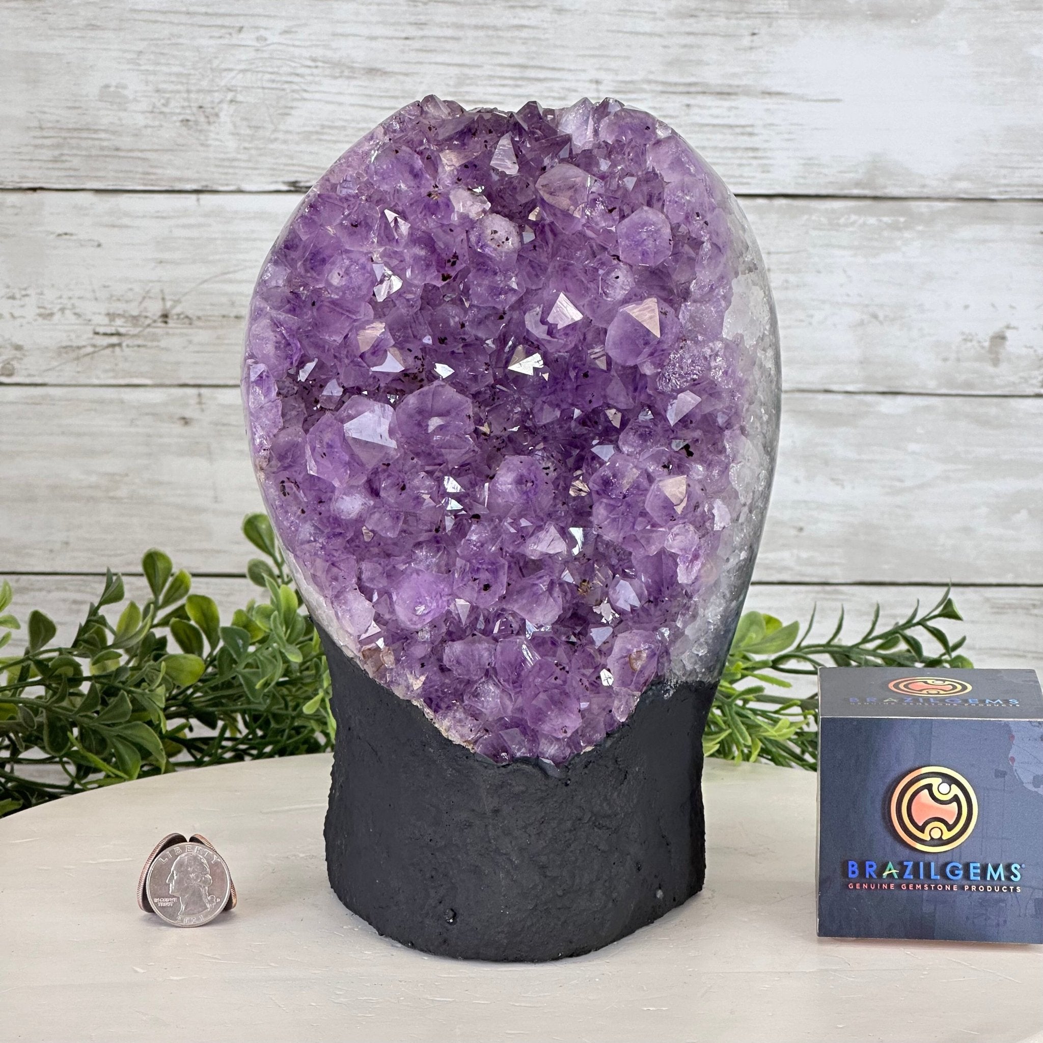Extra Quality Amethyst Cluster on Cement Base, 12.8 lbs and 9" Tall #5614-0102 - Brazil GemsBrazil GemsExtra Quality Amethyst Cluster on Cement Base, 12.8 lbs and 9" Tall #5614-0102Clusters on Cement Bases5614-0102