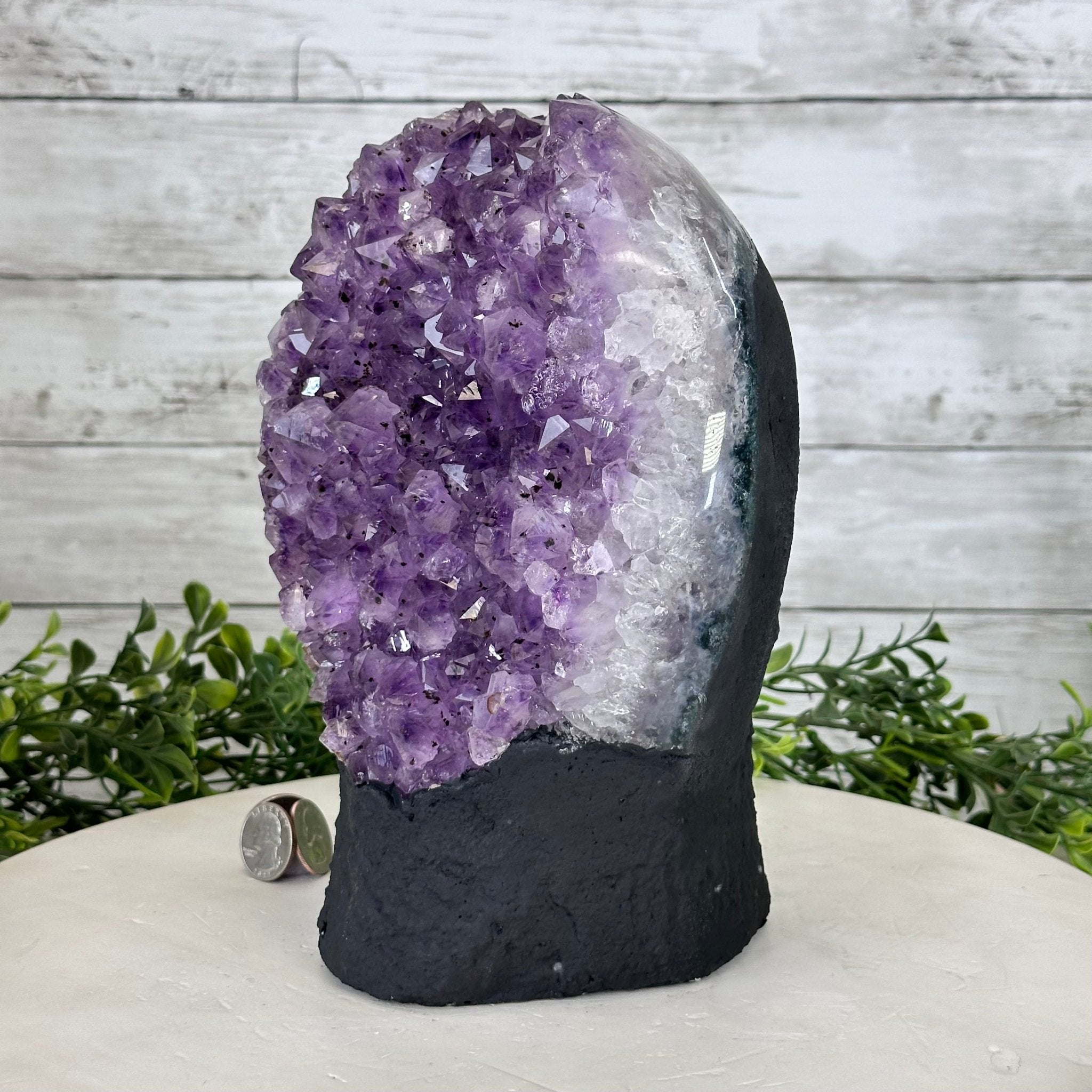 Extra Quality Amethyst Cluster on Cement Base, 12.8 lbs and 9" Tall #5614-0102 - Brazil GemsBrazil GemsExtra Quality Amethyst Cluster on Cement Base, 12.8 lbs and 9" Tall #5614-0102Clusters on Cement Bases5614-0102