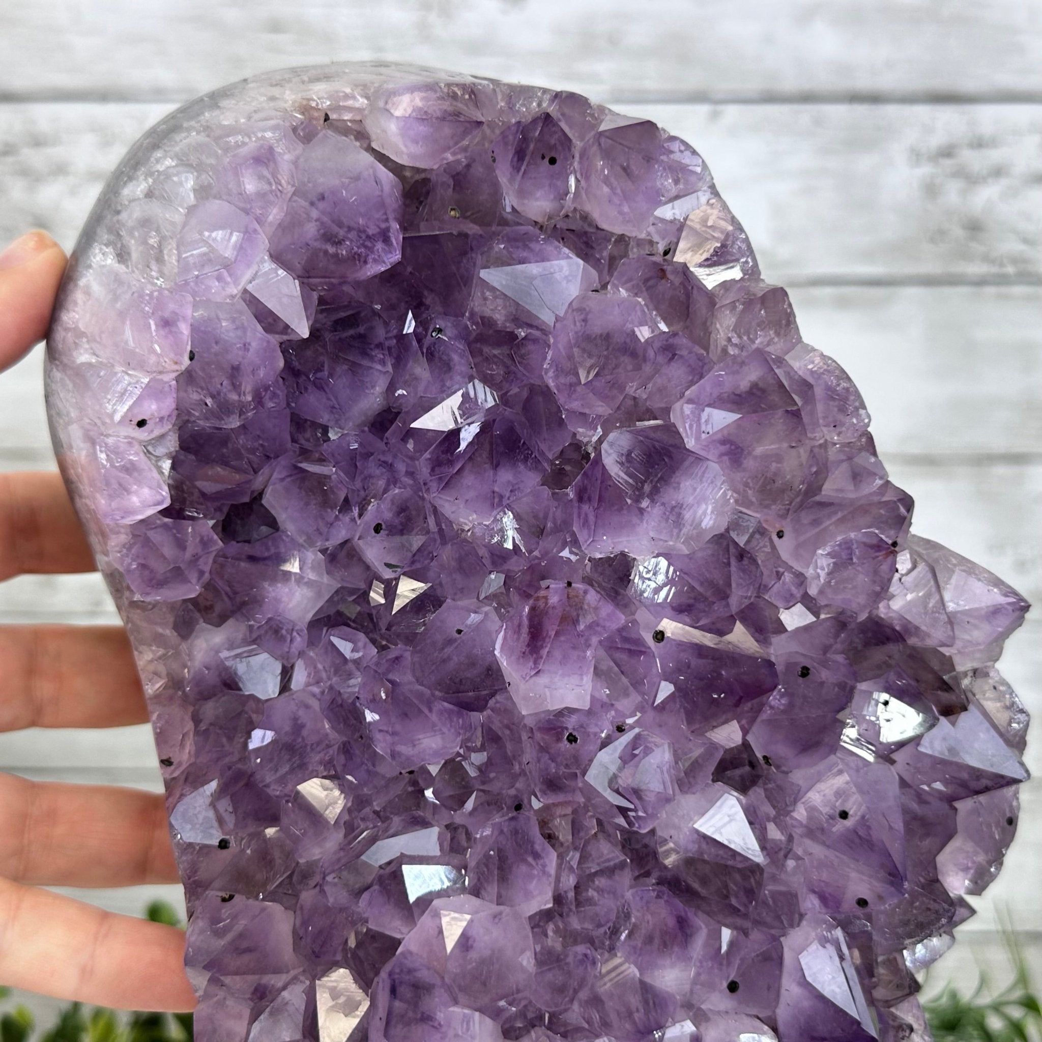 Extra Quality Amethyst Cluster on Cement Base, 13.3 lbs and 12.6" Tall #5614-0106 - Brazil GemsBrazil GemsExtra Quality Amethyst Cluster on Cement Base, 13.3 lbs and 12.6" Tall #5614-0106Clusters on Cement Bases5614-0106