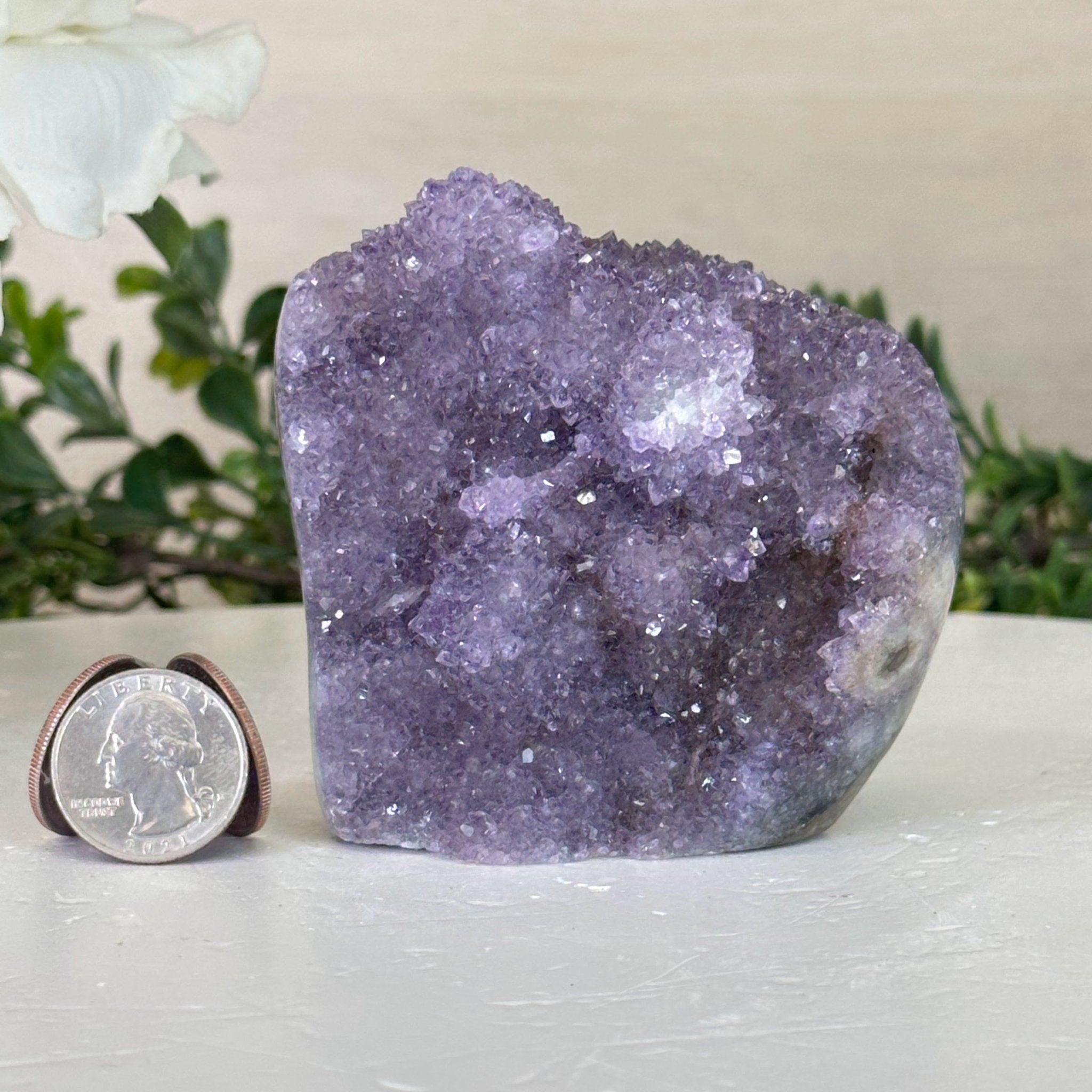 Extra Quality Amethyst Cluster w/ flat bottom, 3.3" Tall #5611 - 0408 - Brazil GemsBrazil GemsExtra Quality Amethyst Cluster w/ flat bottom, 3.3" Tall #5611 - 0408Small Clusters with Flat Bases5611 - 0408