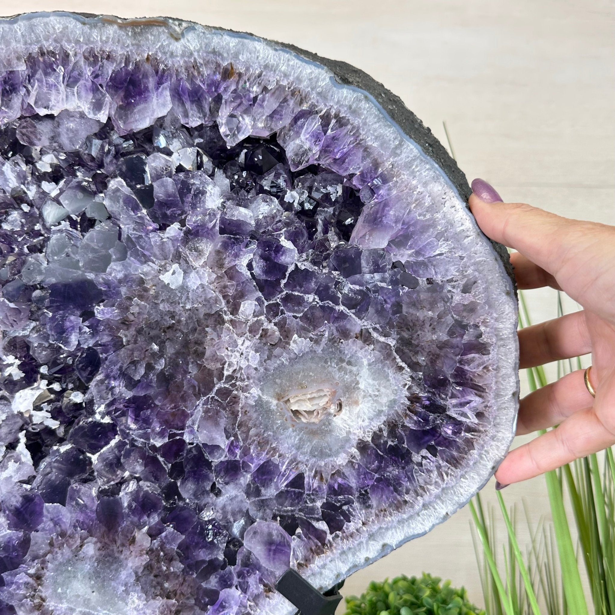 Extra Quality Amethyst Crystal Slice on Stand, 33.1 lbs & 19.6" Tall #5621AM - 005 - Brazil GemsBrazil GemsExtra Quality Amethyst Crystal Slice on Stand, 33.1 lbs & 19.6" Tall #5621AM - 005Slices on Fixed Bases5621AM - 005