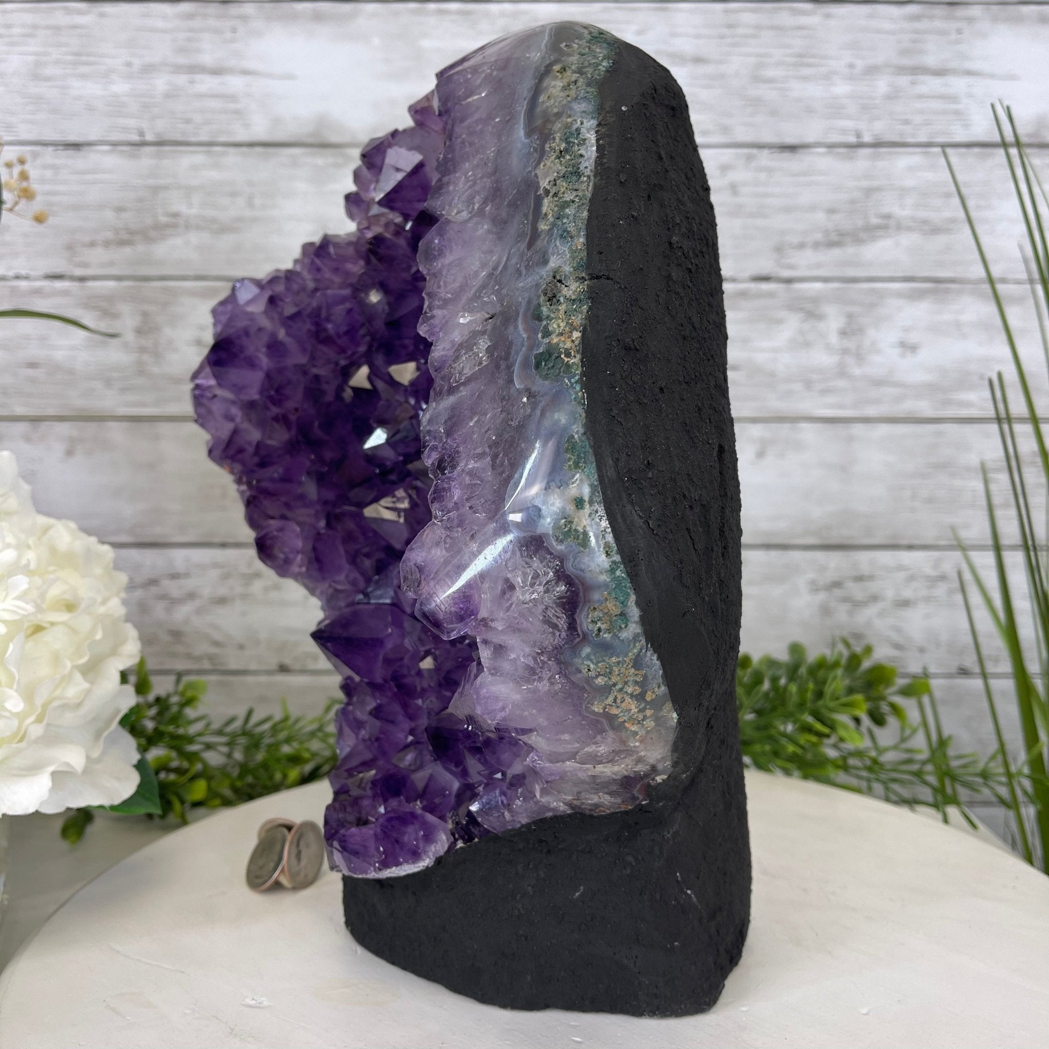 Extra Quality Amethyst Druse Cluster on Cement Base, 20.6 lbs and 12" Tall #5614-0071 - Brazil GemsBrazil GemsExtra Quality Amethyst Druse Cluster on Cement Base, 20.6 lbs and 12" Tall #5614-0071Clusters on Cement Bases5614-0071