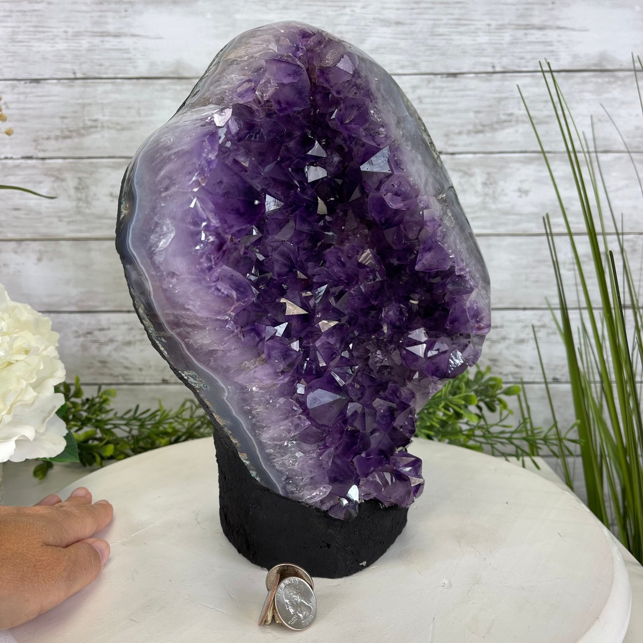 Extra Quality Amethyst Druse Cluster on Cement Base, 20.6 lbs and 12" Tall #5614-0071 - Brazil GemsBrazil GemsExtra Quality Amethyst Druse Cluster on Cement Base, 20.6 lbs and 12" Tall #5614-0071Clusters on Cement Bases5614-0071