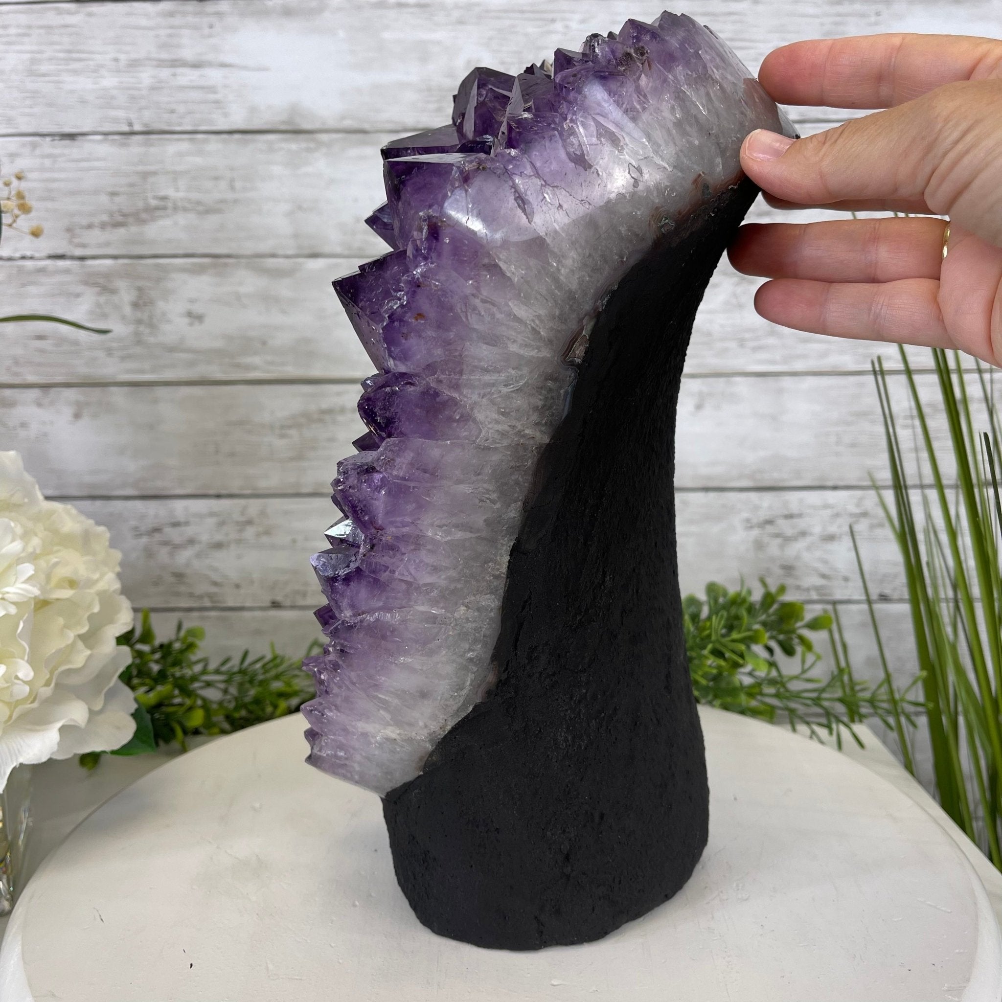 Extra Quality Amethyst Druse Cluster on Cement Base, 27.3 lbs and 12.4" Tall #5614-0072 - Brazil GemsBrazil GemsExtra Quality Amethyst Druse Cluster on Cement Base, 27.3 lbs and 12.4" Tall #5614-0072Clusters on Cement Bases5614-0072