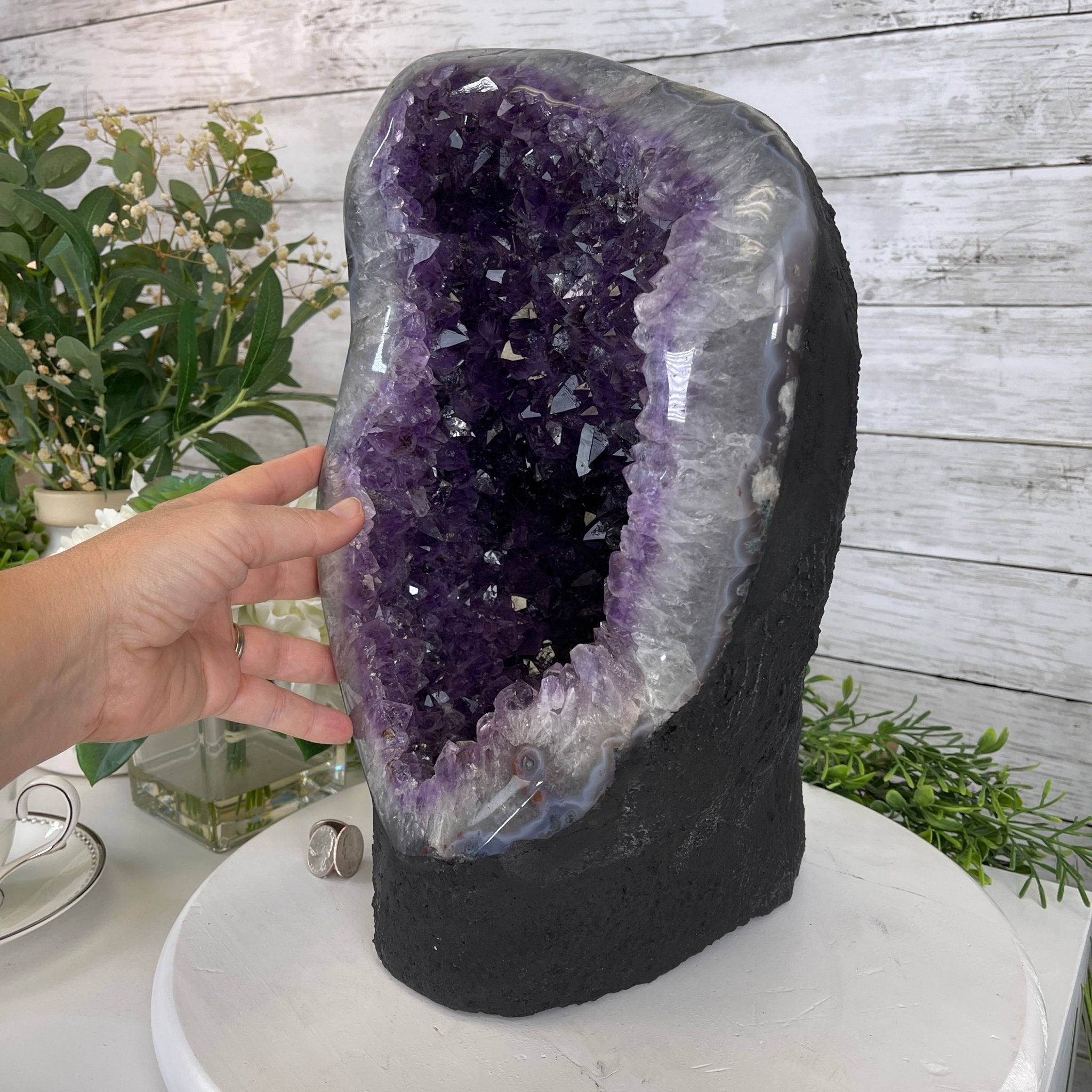 Extra Quality Amethyst Druse Cluster on Cement Base, 34.8 lbs and 14.75" Tall #5614-0031 - Brazil GemsBrazil GemsExtra Quality Amethyst Druse Cluster on Cement Base, 34.8 lbs and 14.75" Tall #5614-0031Clusters on Cement Bases5614-0031