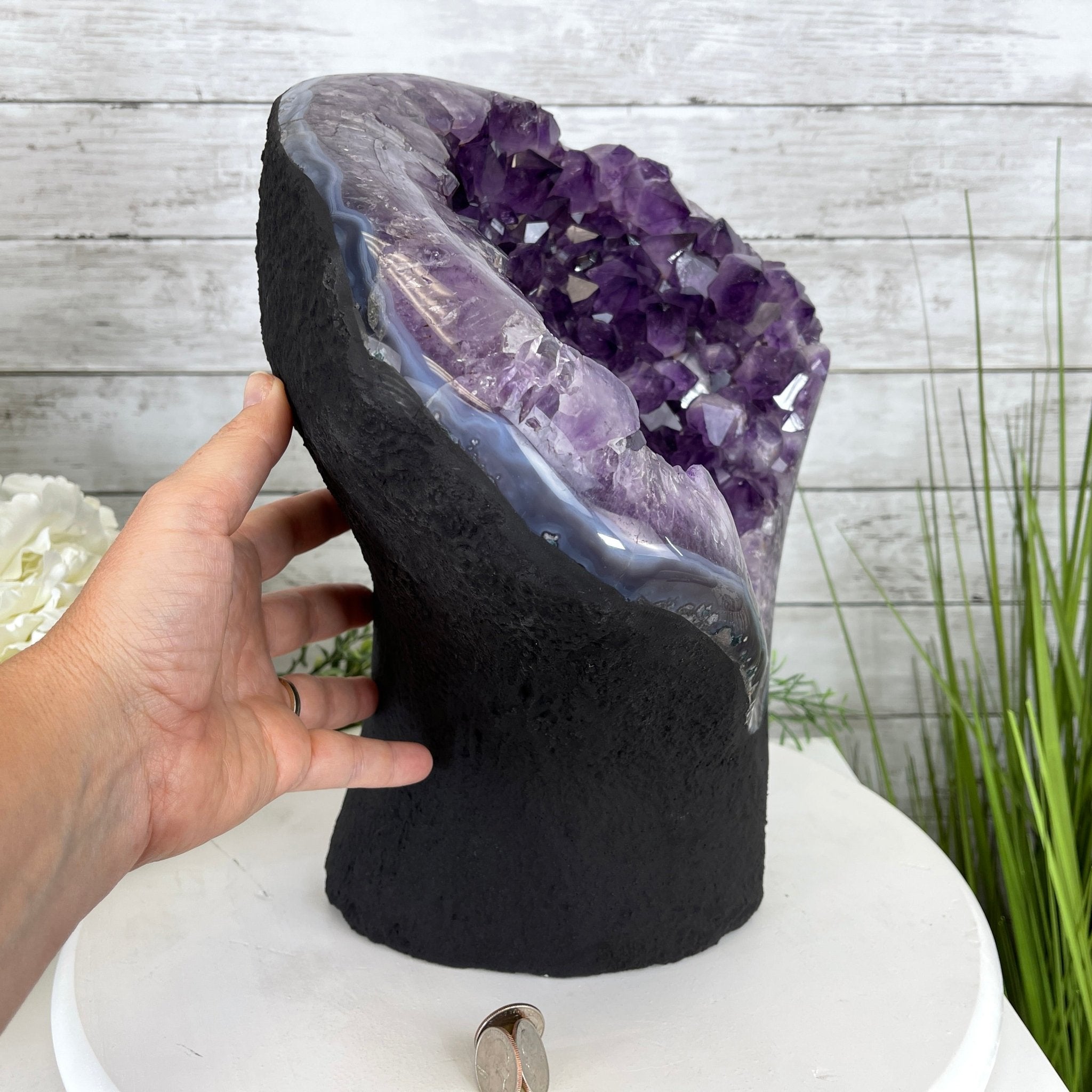 Extra Quality Amethyst Druse Cluster on Cement Base, 35 lbs and 12.5" Tall #5614-0051 - Brazil GemsBrazil GemsExtra Quality Amethyst Druse Cluster on Cement Base, 35 lbs and 12.5" Tall #5614-0051Clusters on Cement Bases5614-0051