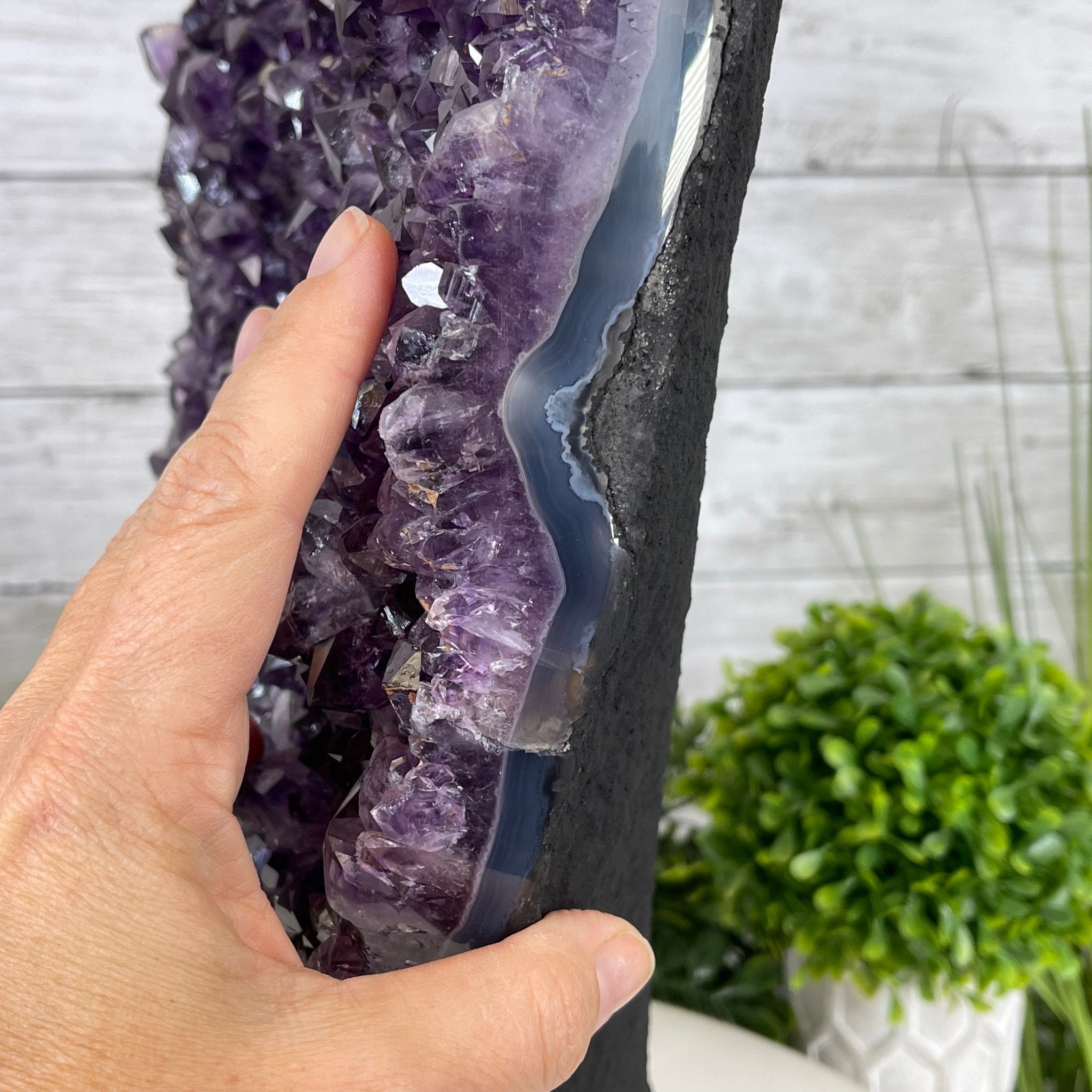 Extra Quality Amethyst Druse Cluster on Cement Base, 38.4 lbs and 23" Tall #5614-0053 - Brazil GemsBrazil GemsExtra Quality Amethyst Druse Cluster on Cement Base, 38.4 lbs and 23" Tall #5614-0053Clusters on Cement Bases5614-0053