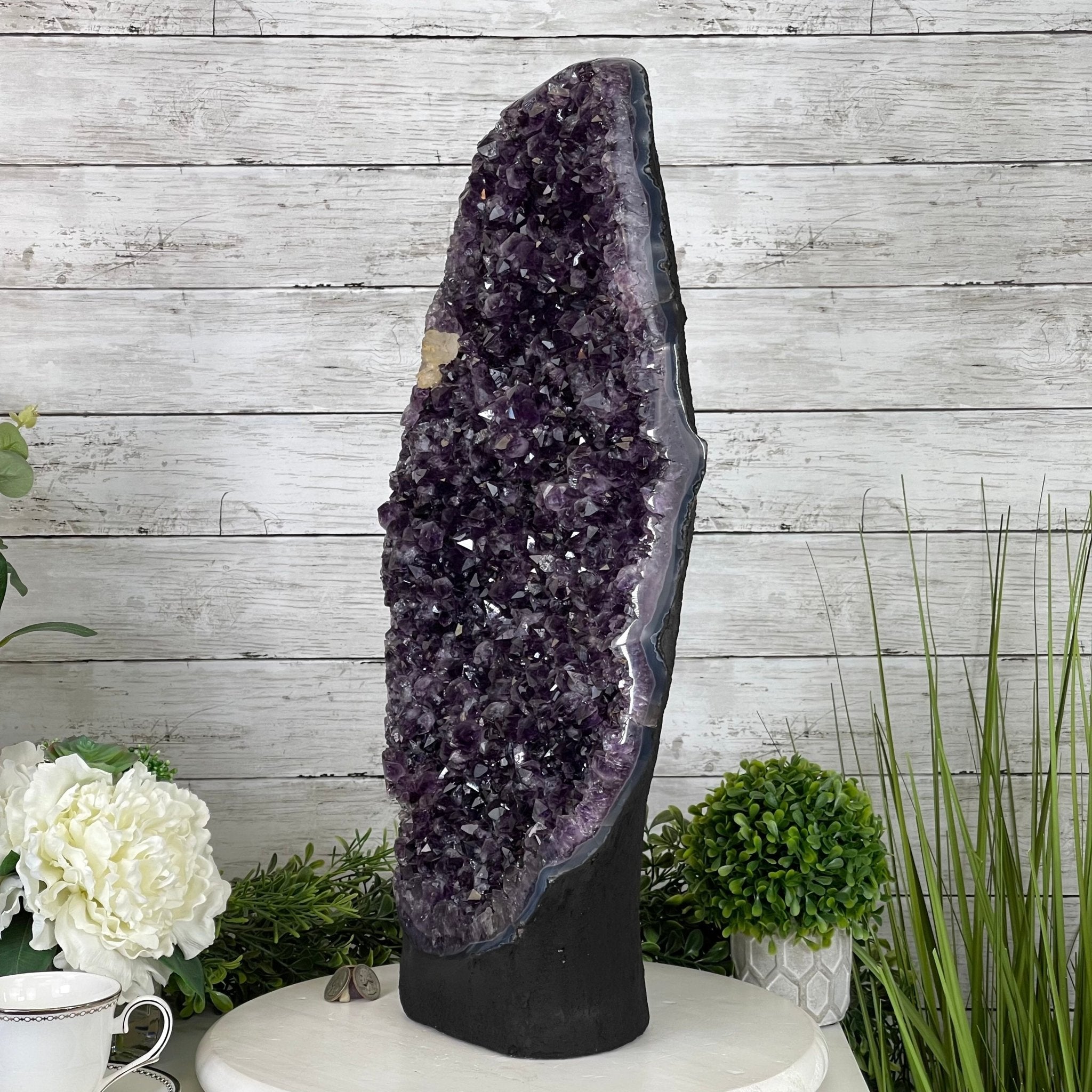 Extra Quality Amethyst Druse Cluster on Cement Base, 38.4 lbs and 23" Tall #5614-0053 - Brazil GemsBrazil GemsExtra Quality Amethyst Druse Cluster on Cement Base, 38.4 lbs and 23" Tall #5614-0053Clusters on Cement Bases5614-0053
