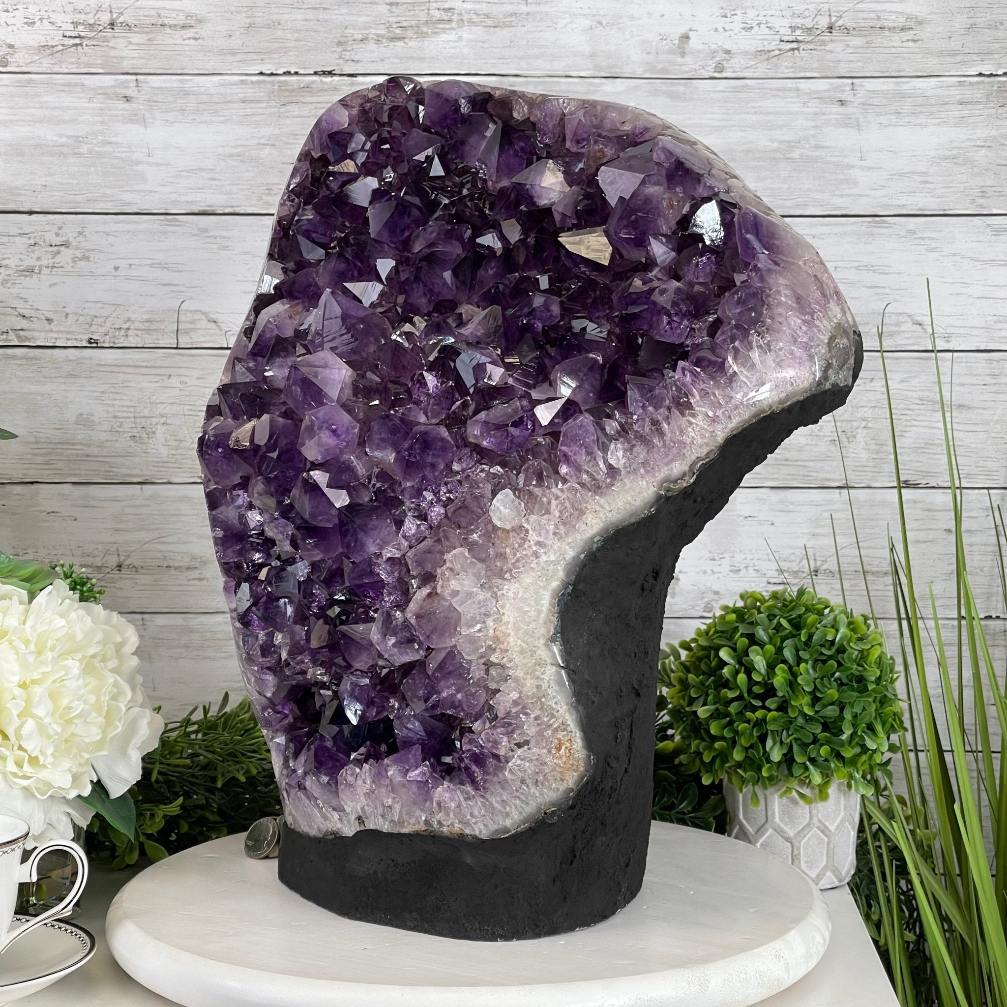 Extra Quality Amethyst Druse Cluster on Cement Base, 77.8 lbs and 16.7" Tall #5614-0062 - Brazil GemsBrazil GemsExtra Quality Amethyst Druse Cluster on Cement Base, 77.8 lbs and 16.7" Tall #5614-0062Clusters on Cement Bases5614-0062