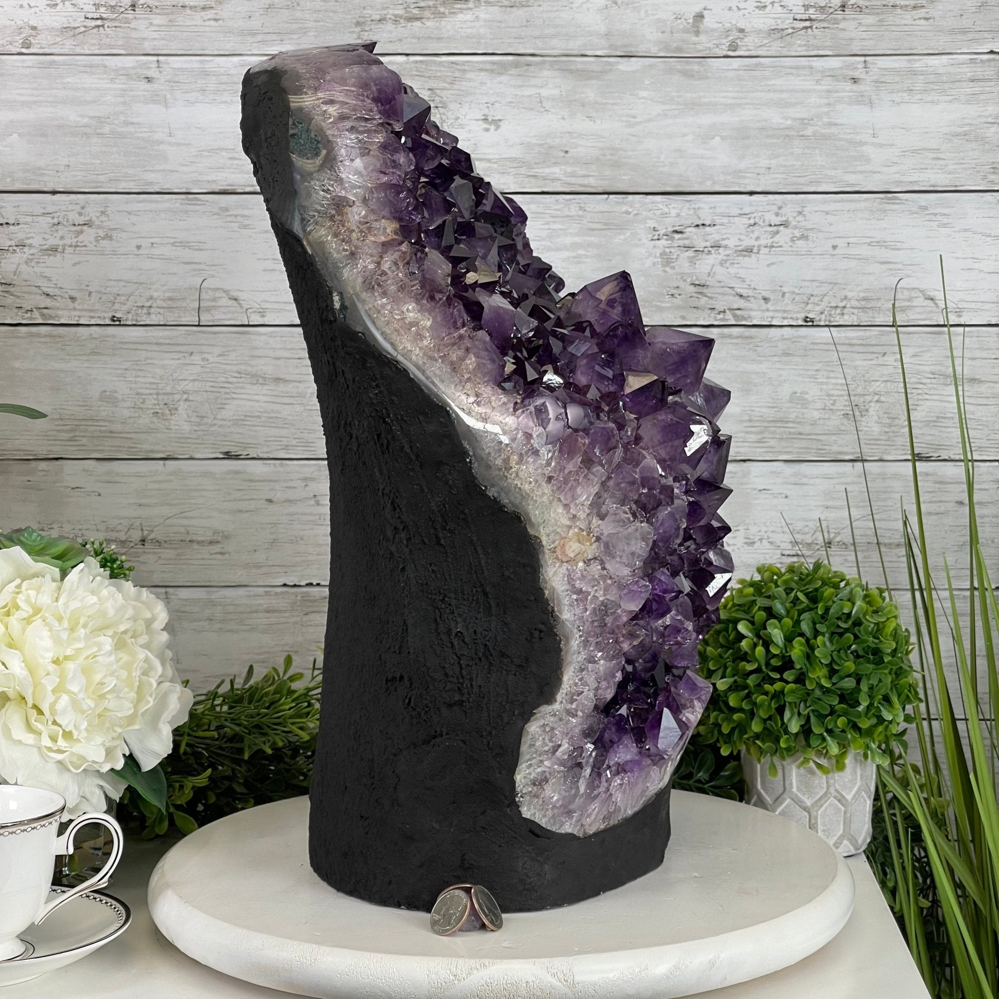 Extra Quality Amethyst Druse Cluster on Cement Base, 77.8 lbs and 16.7" Tall #5614-0062 - Brazil GemsBrazil GemsExtra Quality Amethyst Druse Cluster on Cement Base, 77.8 lbs and 16.7" Tall #5614-0062Clusters on Cement Bases5614-0062