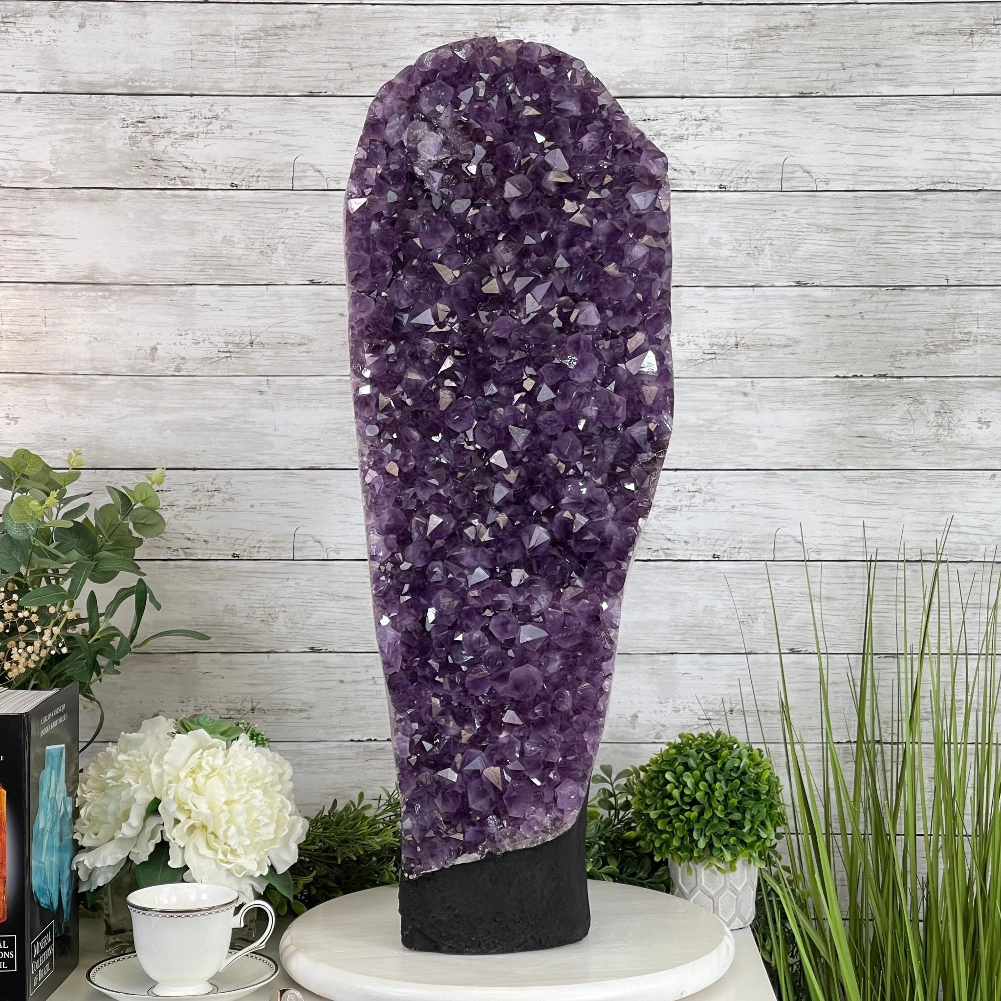 Extra Quality Amethyst Druse Cluster on Cement Base, 82 lbs and 29.3" Tall #5614-0063 - Brazil GemsBrazil GemsExtra Quality Amethyst Druse Cluster on Cement Base, 82 lbs and 29.3" Tall #5614-0063Clusters on Cement Bases5614-0063