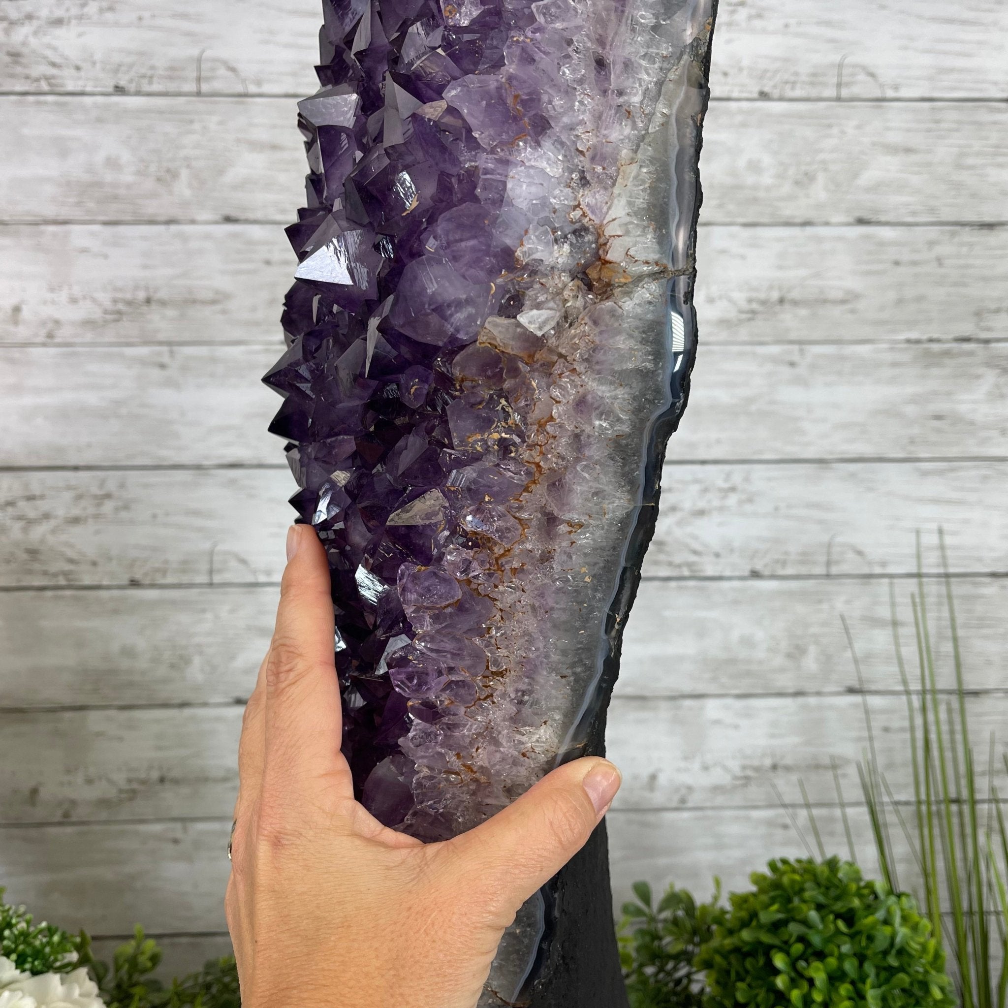Extra Quality Amethyst Druse Cluster on Cement Base, 82 lbs and 29.3" Tall #5614-0063 - Brazil GemsBrazil GemsExtra Quality Amethyst Druse Cluster on Cement Base, 82 lbs and 29.3" Tall #5614-0063Clusters on Cement Bases5614-0063