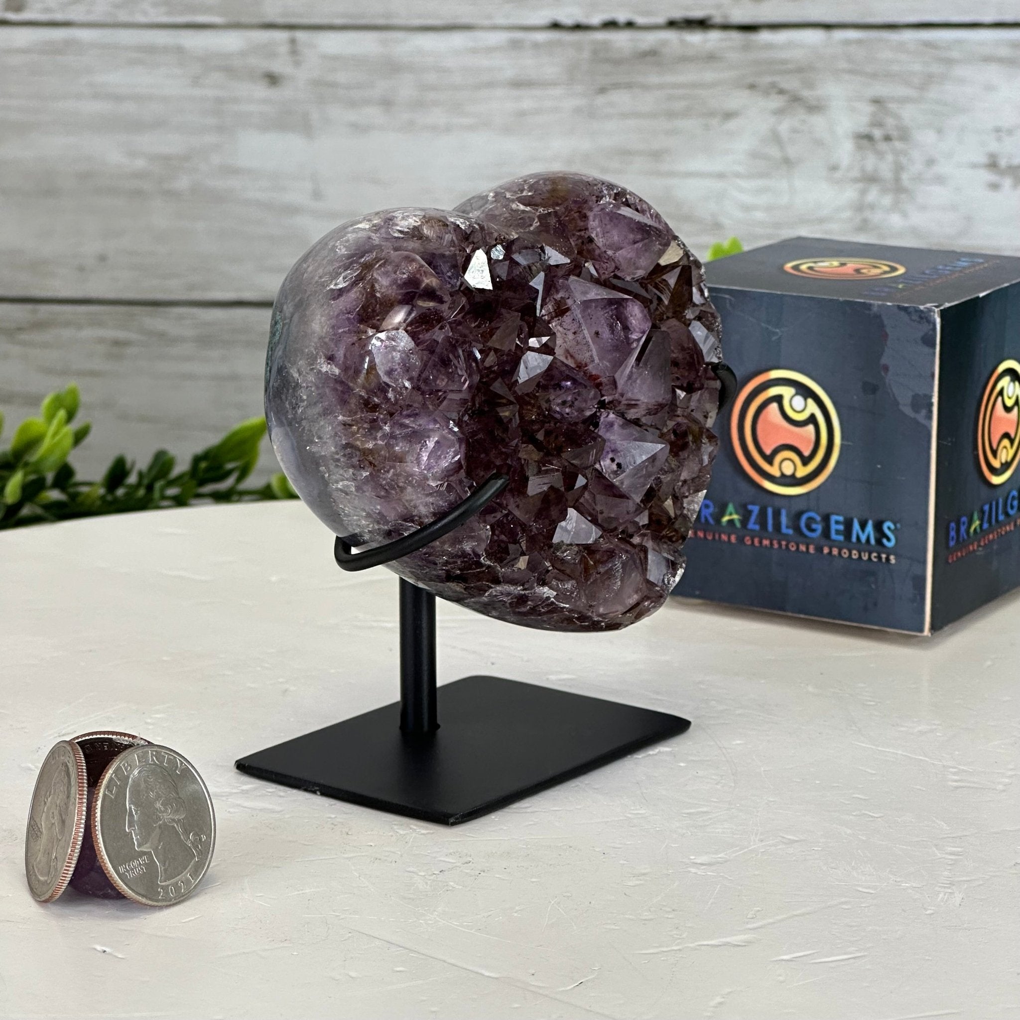 Extra Quality Amethyst Heart Geode w/ metal stand, 1.1 lbs & 3.9" Tall #5463-0295 - Brazil GemsBrazil GemsExtra Quality Amethyst Heart Geode w/ metal stand, 1.1 lbs & 3.9" Tall #5463-0295Hearts5463-0295