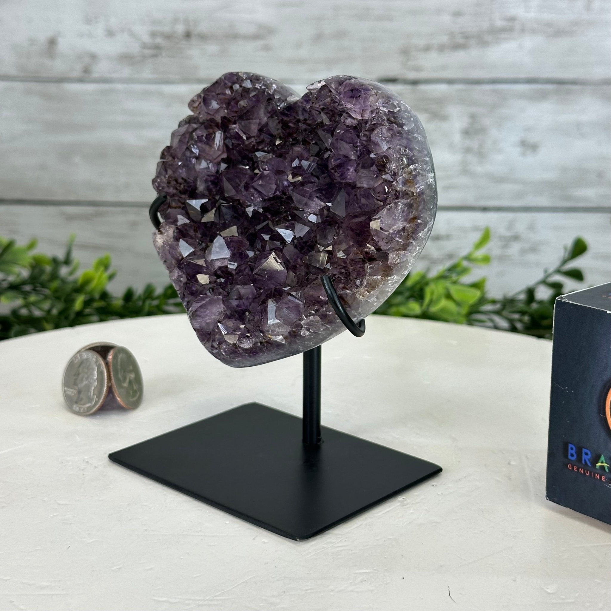 Extra Quality Amethyst Heart Geode w/ metal stand, 1.2 lbs & 5" Tall #5463-0296 - Brazil GemsBrazil GemsExtra Quality Amethyst Heart Geode w/ metal stand, 1.2 lbs & 5" Tall #5463-0296Hearts5463-0296