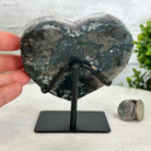 Extra Quality Amethyst Heart Geode w/ metal stand, 1.6 lbs & 4.75" Tall #5463-0255 by Brazil Gems - Brazil GemsBrazil GemsExtra Quality Amethyst Heart Geode w/ metal stand, 1.6 lbs & 4.75" Tall #5463-0255 by Brazil GemsHearts5463-0255