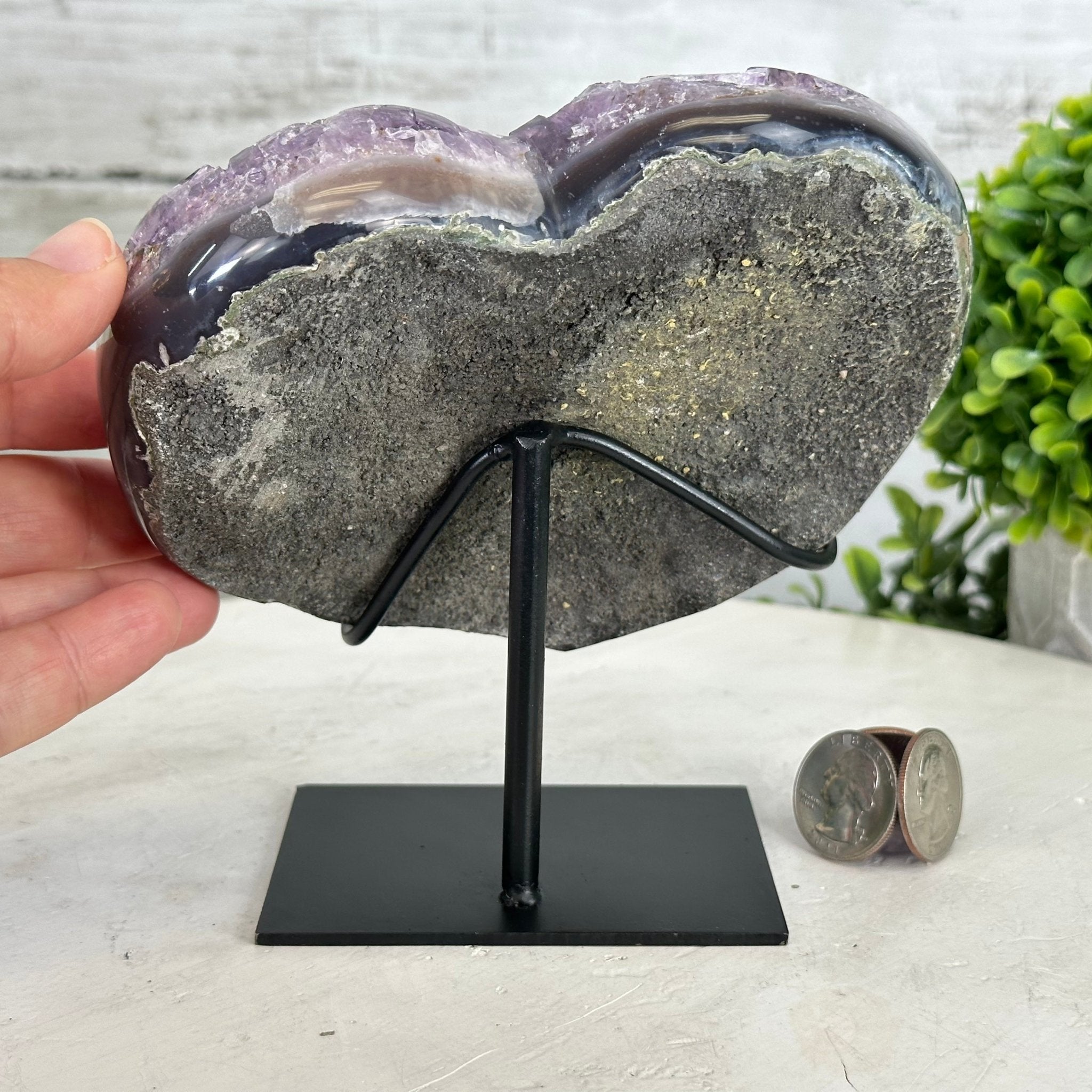 Extra Quality Amethyst Heart Geode w/ metal stand, 2.6 lbs & 5.5" Tall #5463-0274 by Brazil Gems - Brazil GemsBrazil GemsExtra Quality Amethyst Heart Geode w/ metal stand, 2.6 lbs & 5.5" Tall #5463-0274 by Brazil GemsHearts5463-0274
