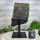 Extra Quality Amethyst Portal on a Fixed Stand, 26.9 lbs & 14" Tall #5606 - 0060 - Brazil GemsBrazil GemsExtra Quality Amethyst Portal on a Fixed Stand, 26.9 lbs & 14" Tall #5606 - 0060Portals on Fixed Bases5606 - 0060