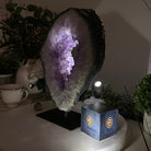 Extra Quality Amethyst Portal on Metal Stand, 14.6 lbs & 12.4" Tall #5606 - 0106 - Brazil GemsBrazil GemsExtra Quality Amethyst Portal on Metal Stand, 14.6 lbs & 12.4" Tall #5606 - 0106Portals on Fixed Bases5606 - 0106