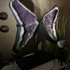 Extra Quality Amethyst Wings on a Metal Stand, 50.7 lbs, 24.4" Tall #5493 - 0044 - Brazil GemsBrazil GemsExtra Quality Amethyst Wings on a Metal Stand, 50.7 lbs, 24.4" Tall #5493 - 0044Amethyst Butterfly Wings5493 - 0044