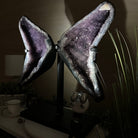 Extra Quality Amethyst Wings on a Metal Stand, 50.7 lbs, 24.4" Tall #5493 - 0044 - Brazil GemsBrazil GemsExtra Quality Amethyst Wings on a Metal Stand, 50.7 lbs, 24.4" Tall #5493 - 0044Amethyst Butterfly Wings5493 - 0044