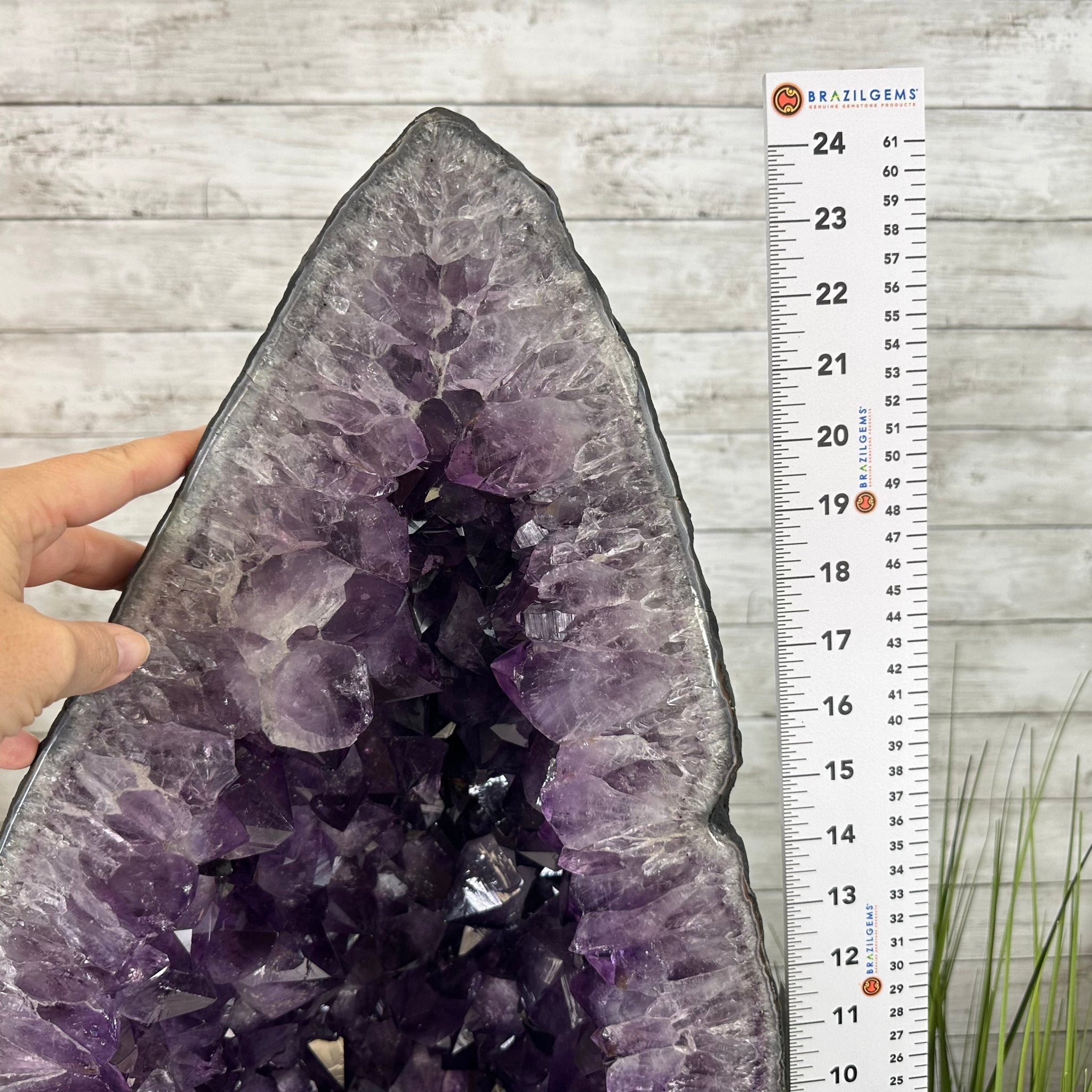 Extra Quality Brazilian Amethyst Cathedral, 108 lbs & 24.25" Tall, Model #5601-1183 by Brazil Gems - Brazil GemsBrazil GemsExtra Quality Brazilian Amethyst Cathedral, 108 lbs & 24.25" Tall, Model #5601-1183 by Brazil GemsCathedrals5601-1183