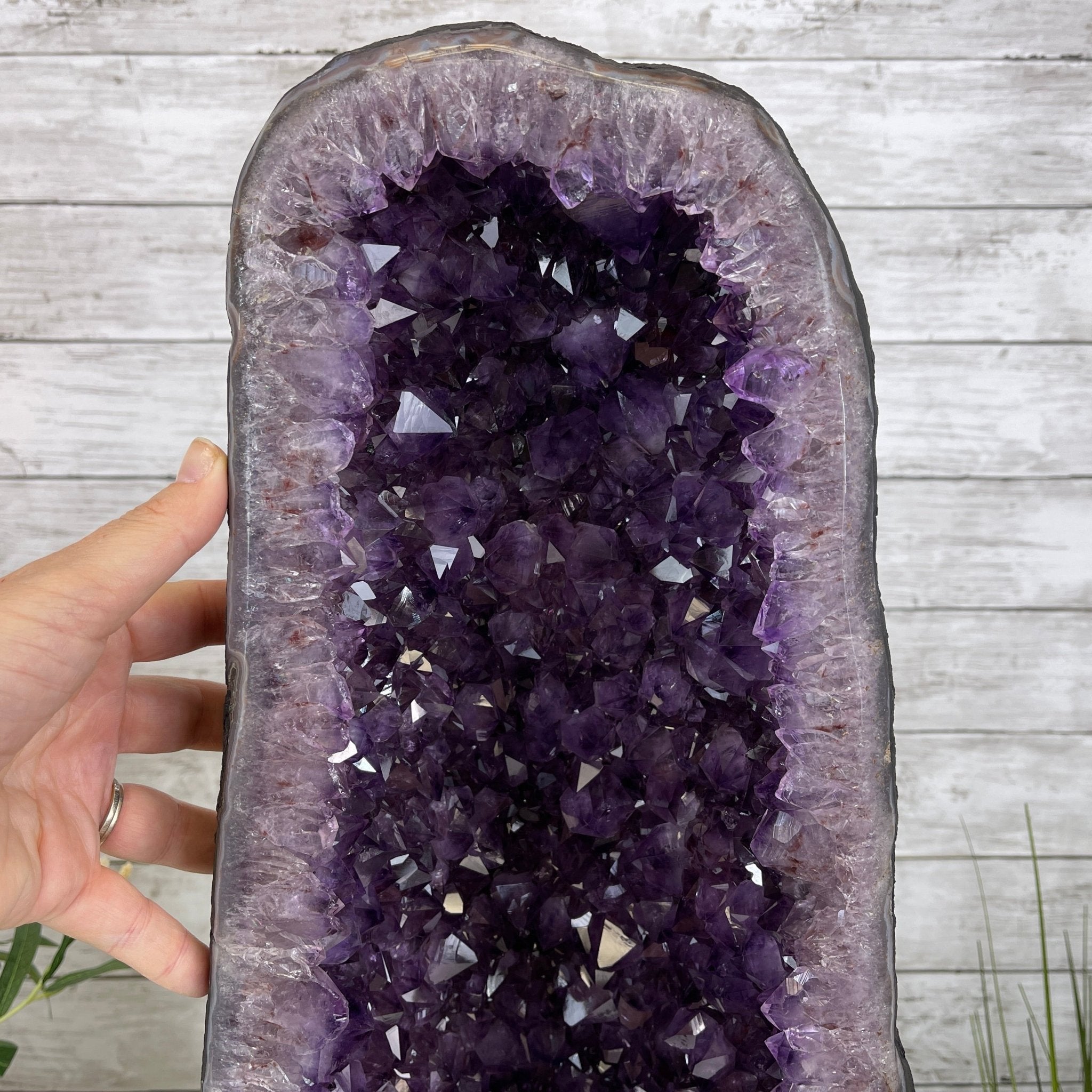 Extra Quality Brazilian Amethyst Cathedral, 23.9” tall & 72.2 lbs #5601-0538 by Brazil Gems - Brazil GemsBrazil GemsExtra Quality Brazilian Amethyst Cathedral, 23.9” tall & 72.2 lbs #5601-0538 by Brazil GemsCathedrals5601-0538