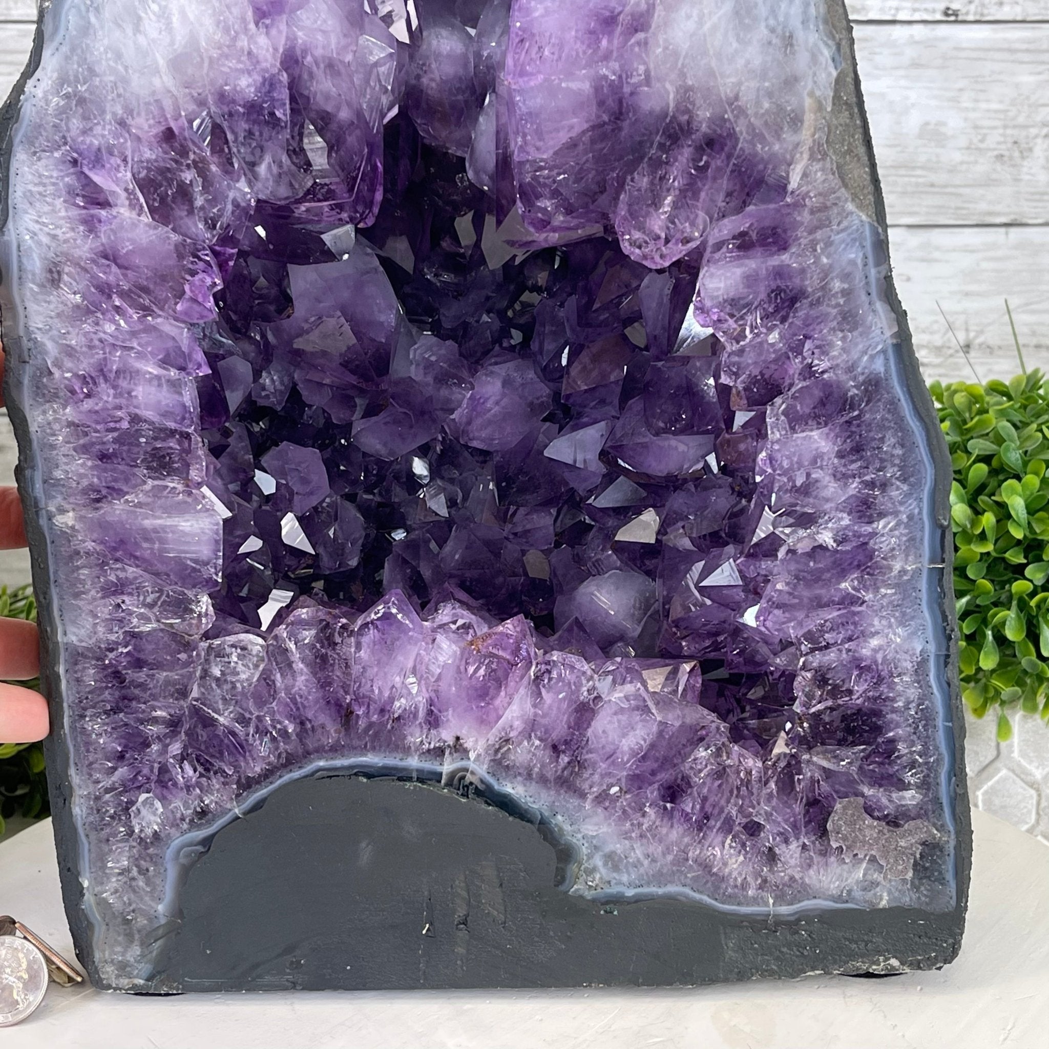 Extra Quality Brazilian Amethyst Cathedral, 45.7 lbs & 16.5" Tall #5601-0703 by Brazil Gems - Brazil GemsBrazil GemsExtra Quality Brazilian Amethyst Cathedral, 45.7 lbs & 16.5" Tall #5601-0703 by Brazil GemsCathedrals5601-0703