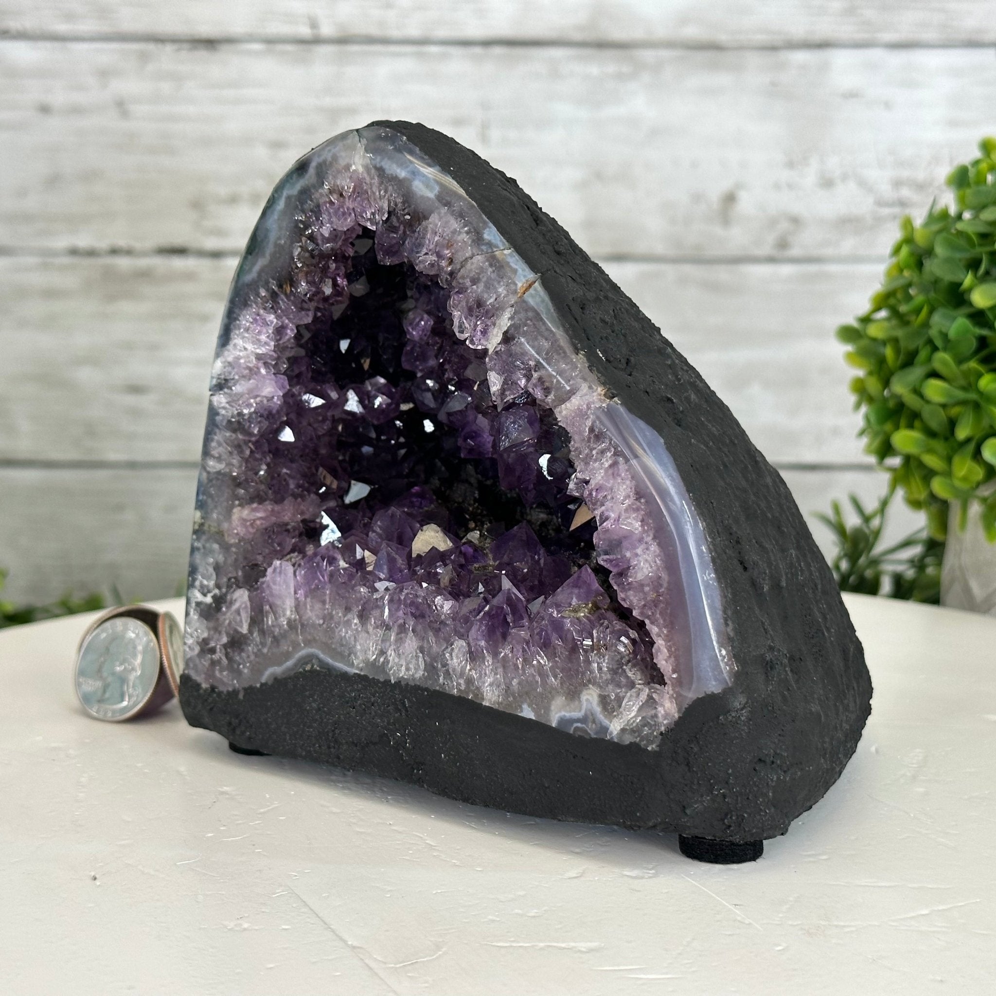 Extra Quality Brazilian Amethyst Cathedral, 4.8 lbs & 5.25" Tall #5601 - 1050 - Brazil GemsBrazil GemsExtra Quality Brazilian Amethyst Cathedral, 4.8 lbs & 5.25" Tall #5601 - 1050Cathedrals5601 - 1050