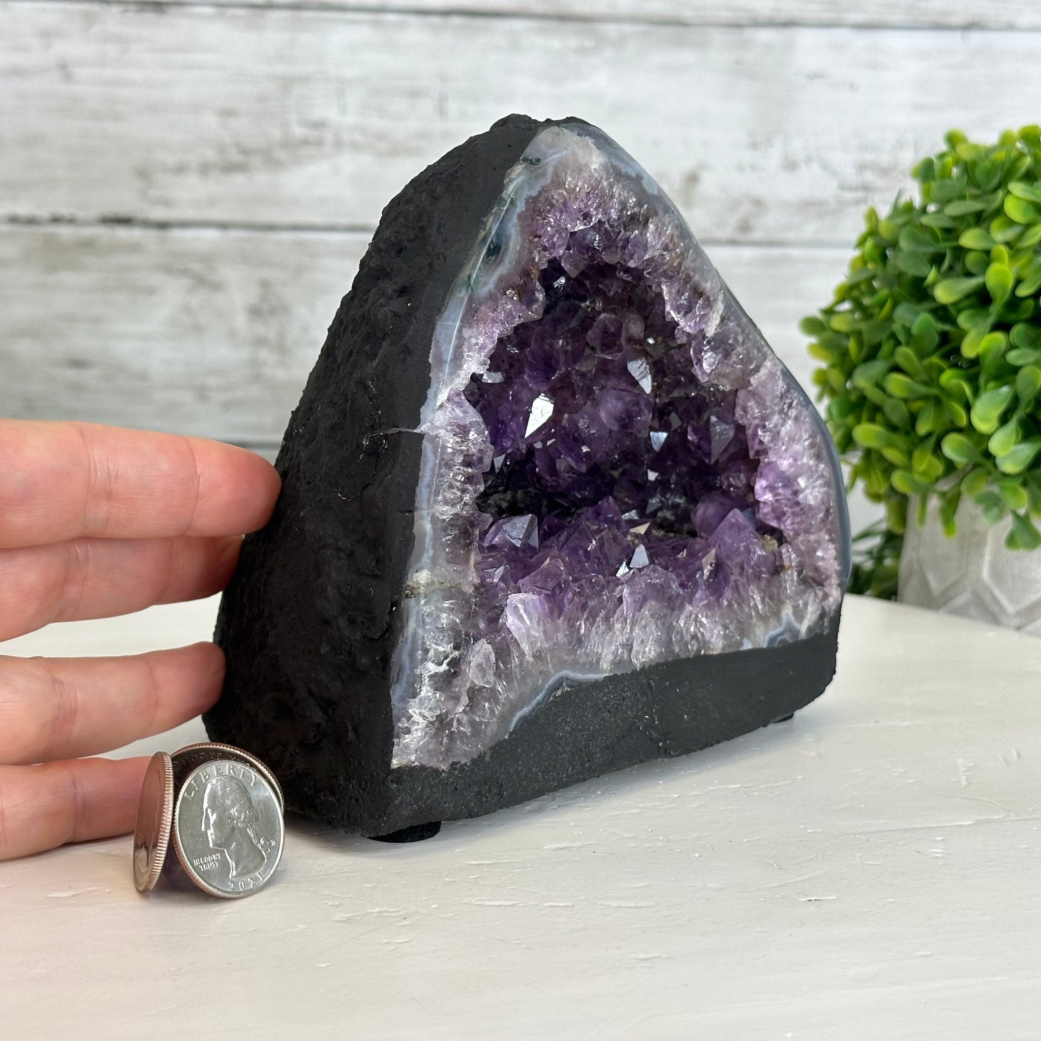 Extra Quality Brazilian Amethyst Cathedral, 4.8 lbs & 5.25" Tall #5601 - 1050 - Brazil GemsBrazil GemsExtra Quality Brazilian Amethyst Cathedral, 4.8 lbs & 5.25" Tall #5601 - 1050Cathedrals5601 - 1050