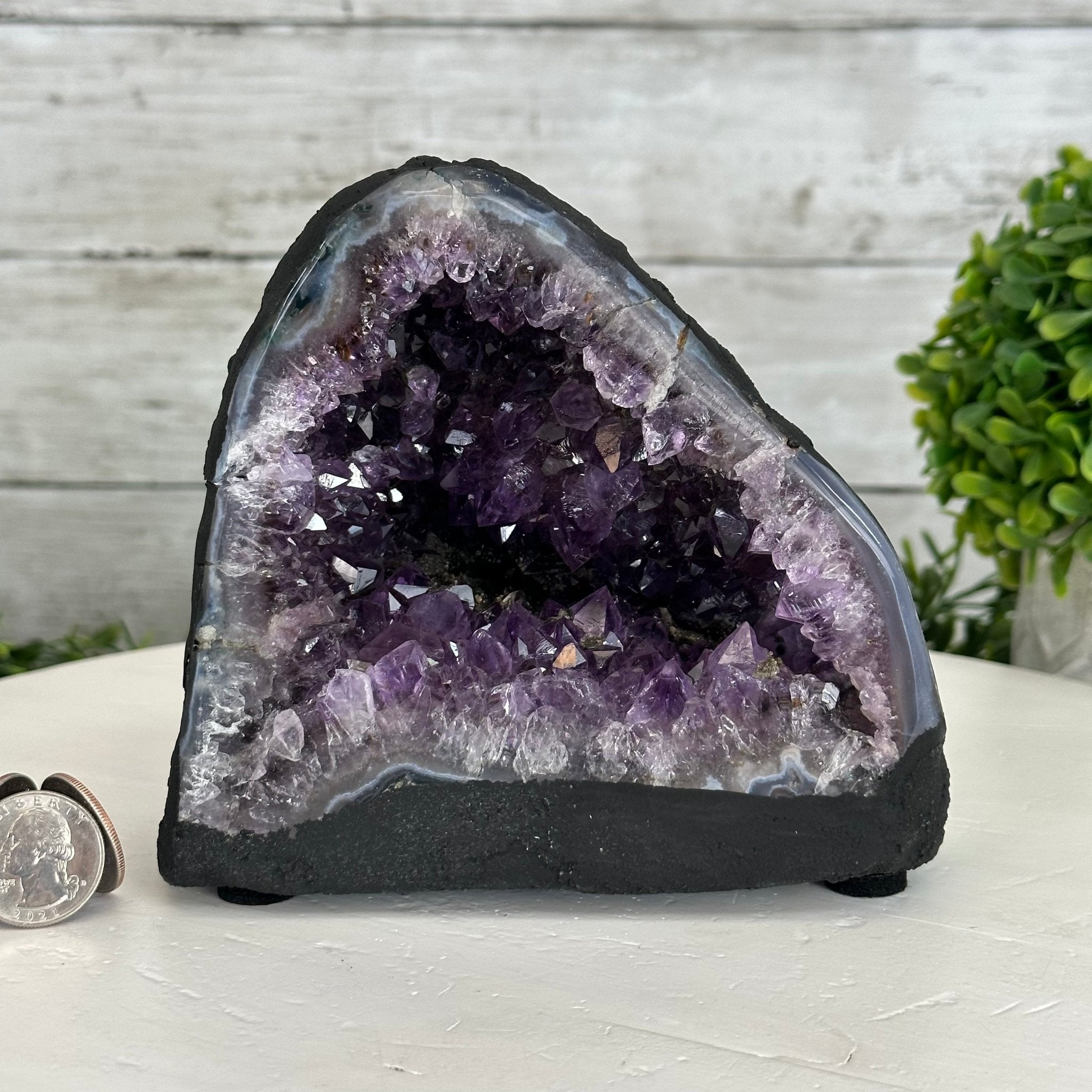 Extra Quality Brazilian Amethyst Cathedral, 4.8 lbs & 5.25" Tall #5601 - 1050 - Brazil GemsBrazil GemsExtra Quality Brazilian Amethyst Cathedral, 4.8 lbs & 5.25" Tall #5601 - 1050Cathedrals5601 - 1050