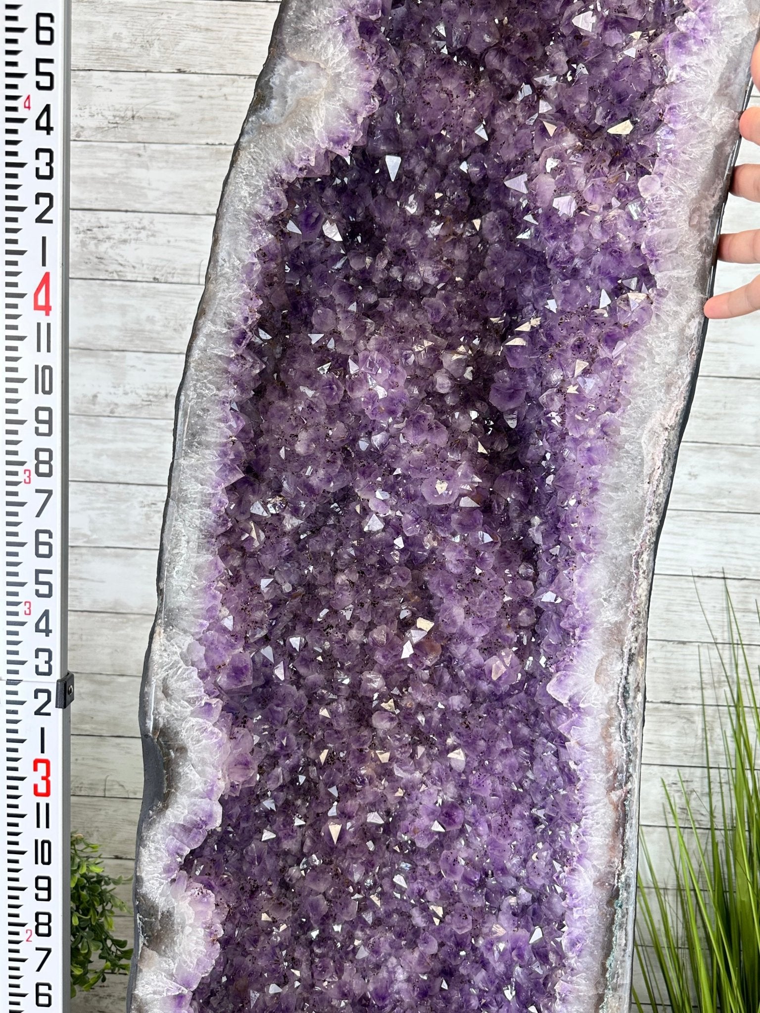 Extra Quality Brazilian Amethyst Cathedral, 510 lbs & 70" Tall #5601-1335 - Brazil GemsBrazil GemsExtra Quality Brazilian Amethyst Cathedral, 510 lbs & 70" Tall #5601-1335Cathedrals5601-1335